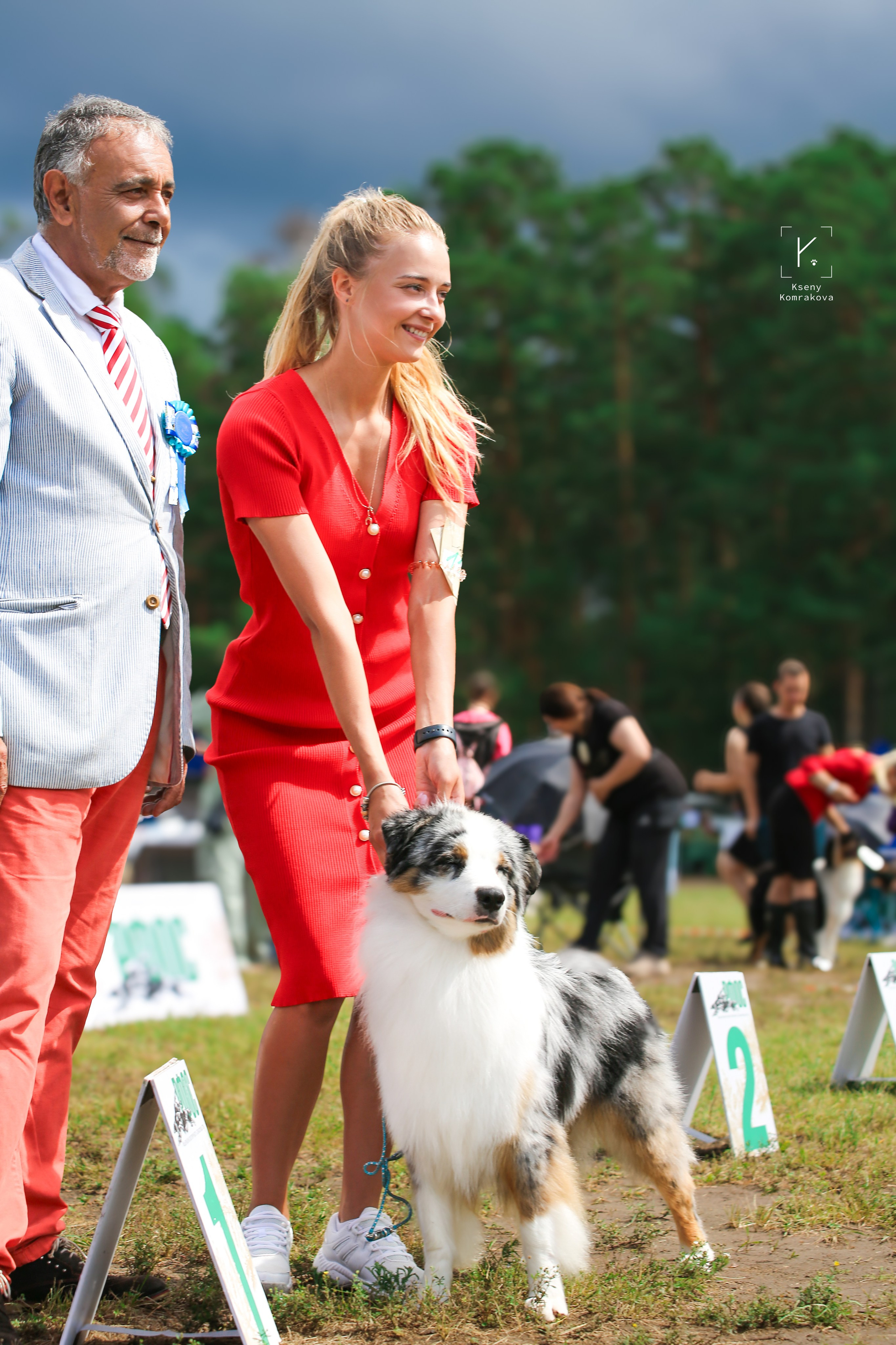 Съемка собак. Анималистика. Репортаж. Индивидуальная съемка