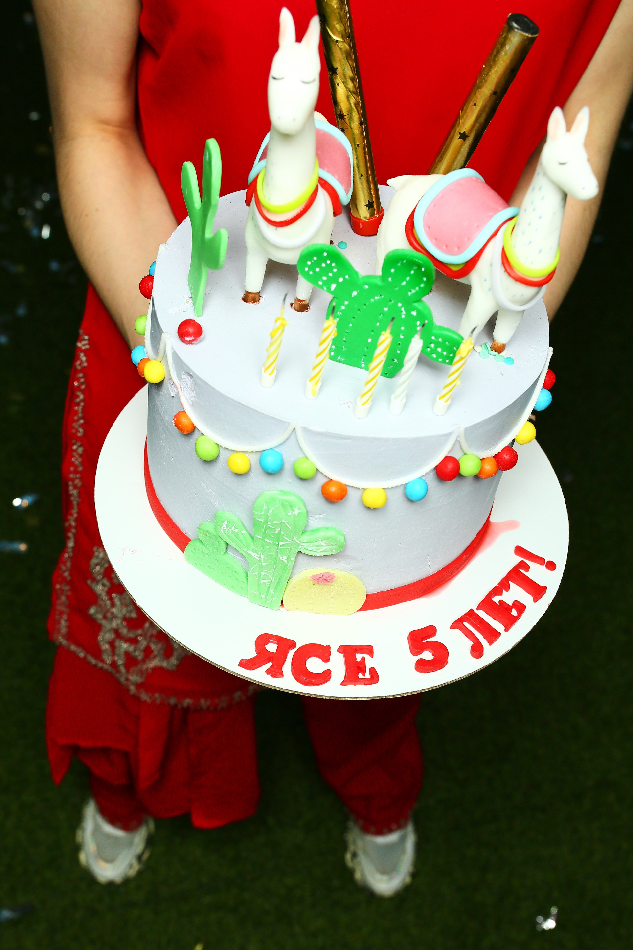 Фотограф на день рождения ребенка в Москве, заказать услуги фотосъёмки — Стоимость и цены на услуги фотографа на день рождения ребёнка