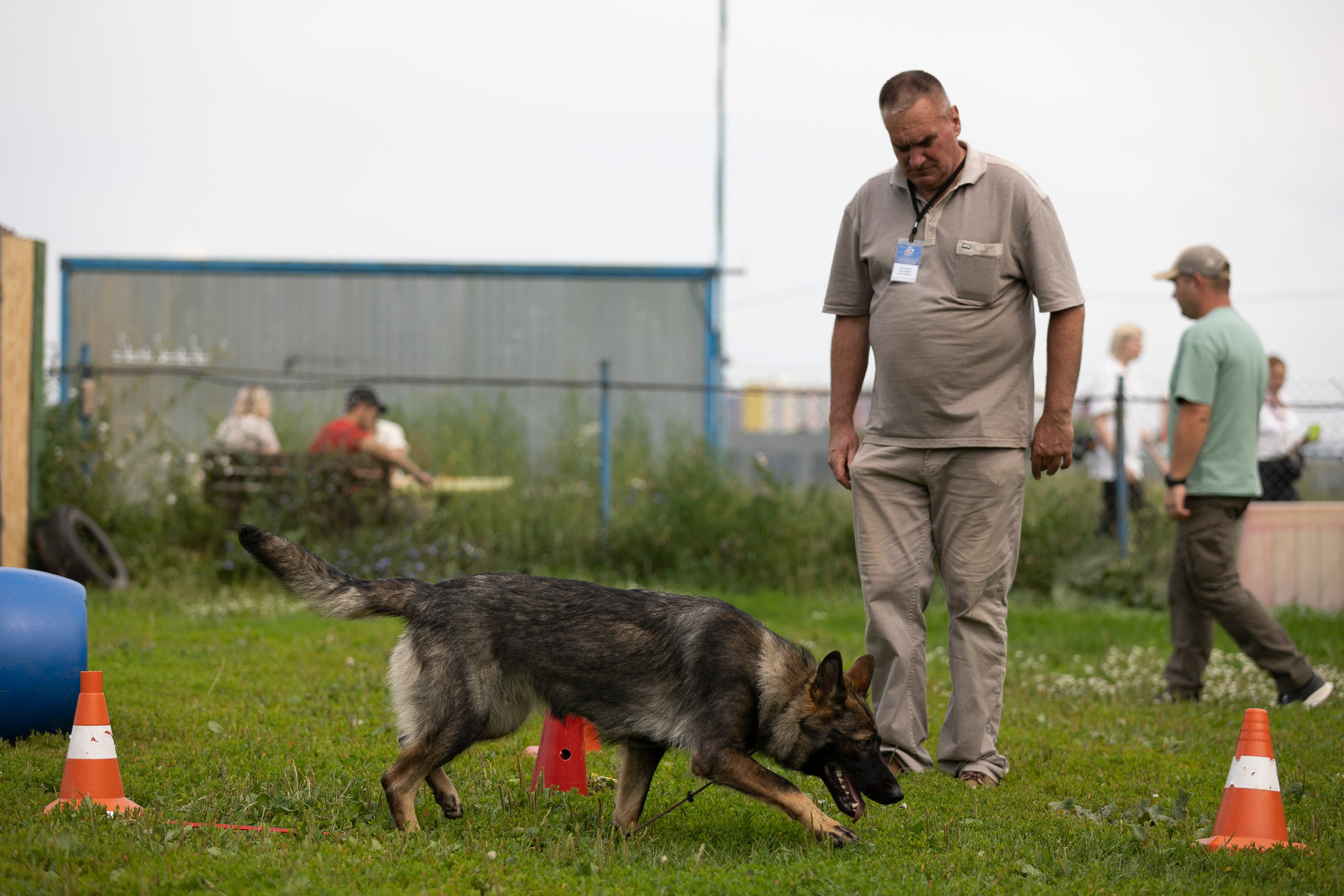 Семинар по поиску ВВ. Фотограф анималист, семейный фотограф, фотограф собак Комратова Мария. г. Москва