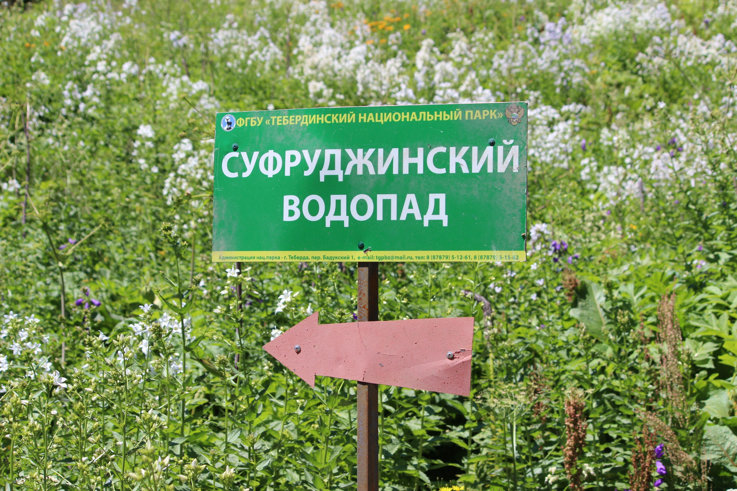 Всё о брендировании и печати, ленты и стикеры. Фотолюбитель Елена Калугина