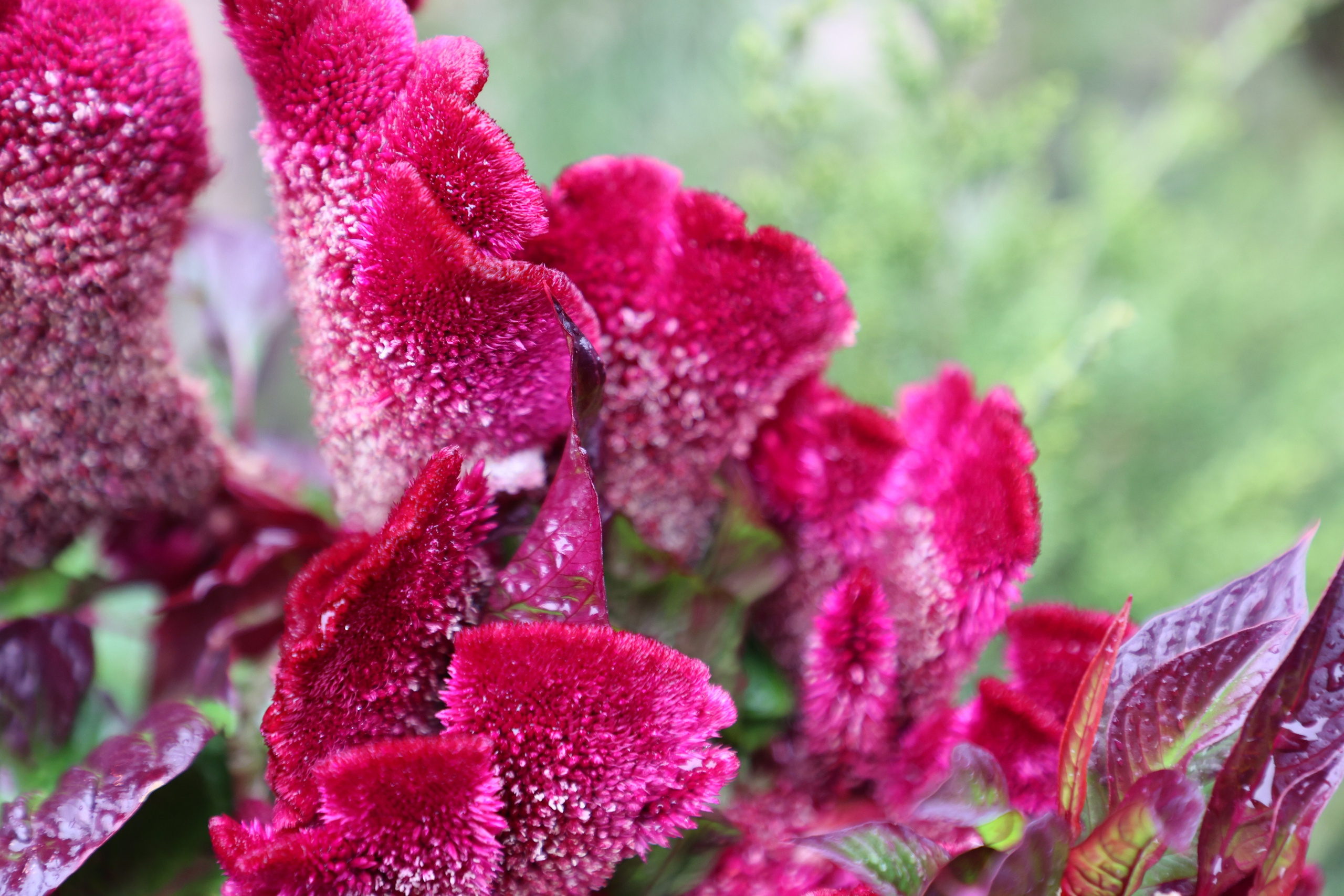 Samarkand, Uzbekistan. Andrey Filippov Photographer