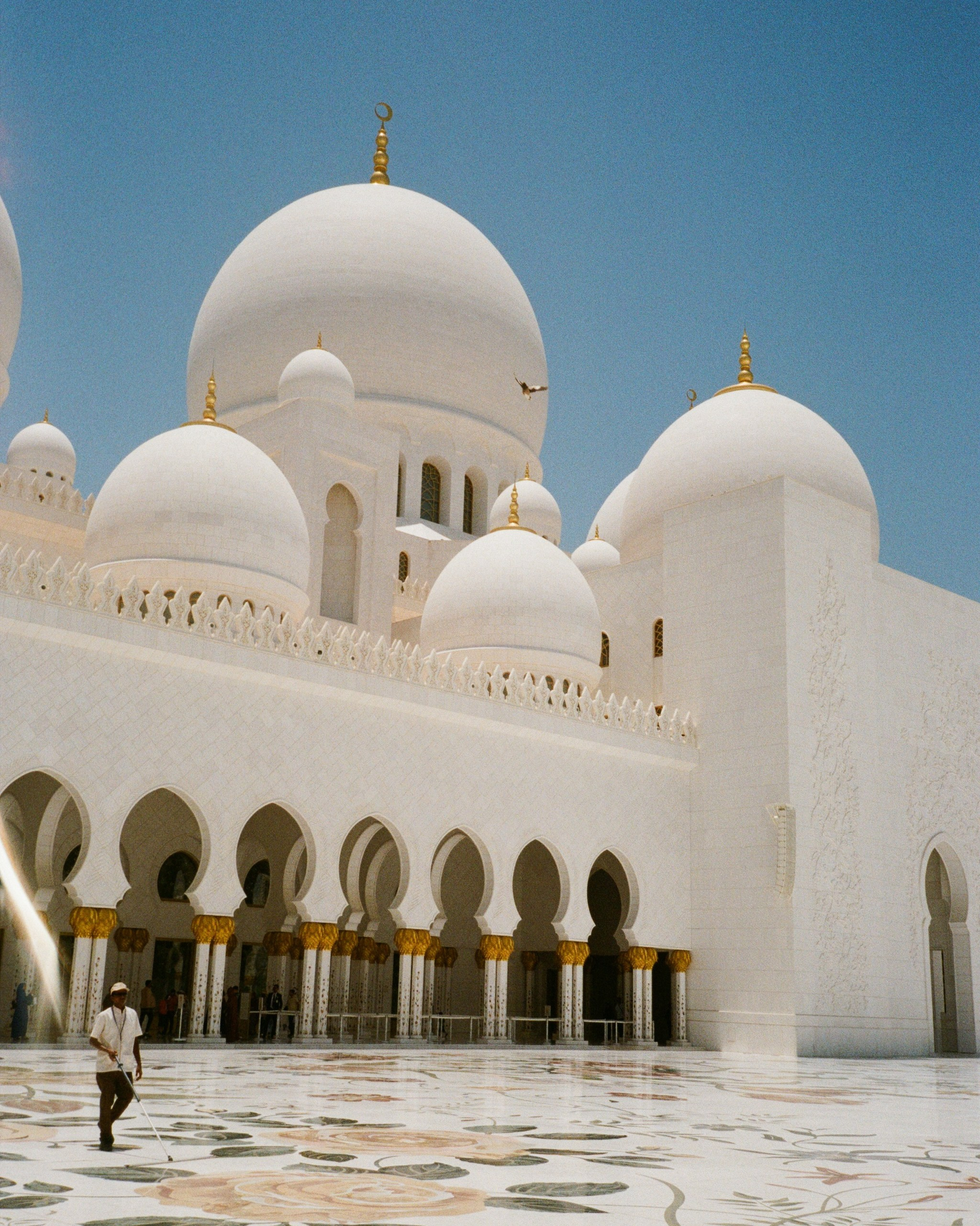 35мм. Katyavasileva