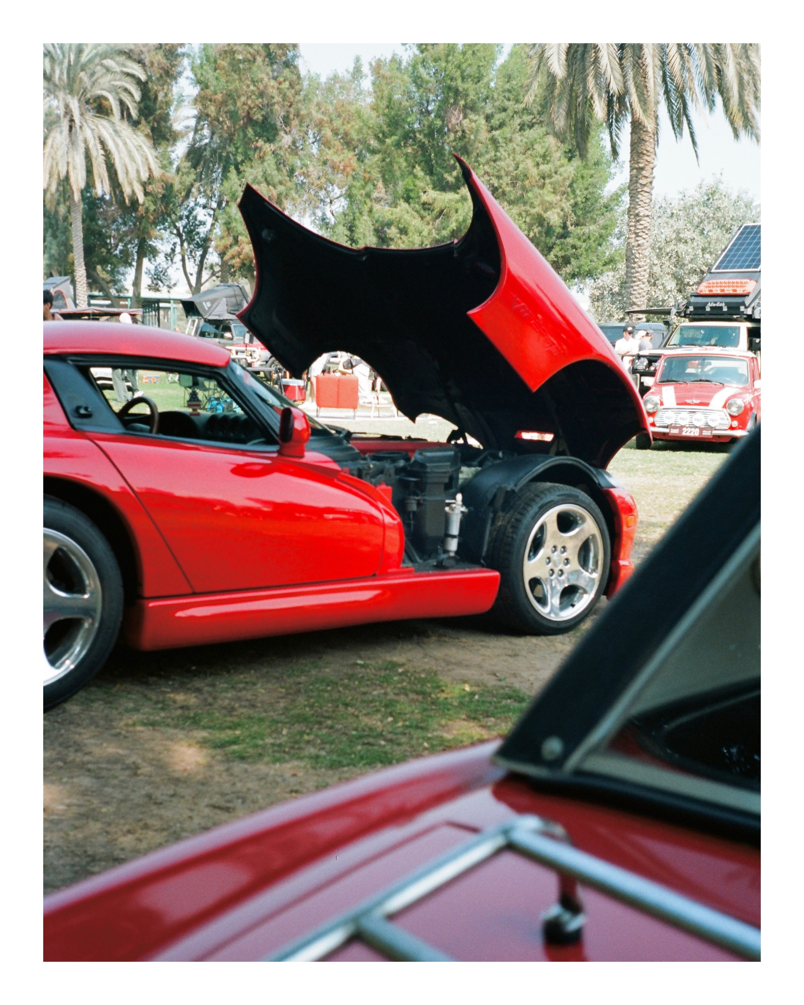 The Grand Picnic (35мм). Katyavasileva