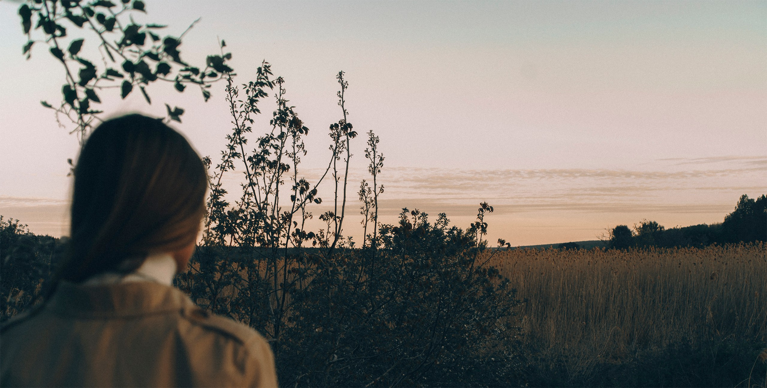 Фотоконкурсы. Фотограф Владимир Тришин