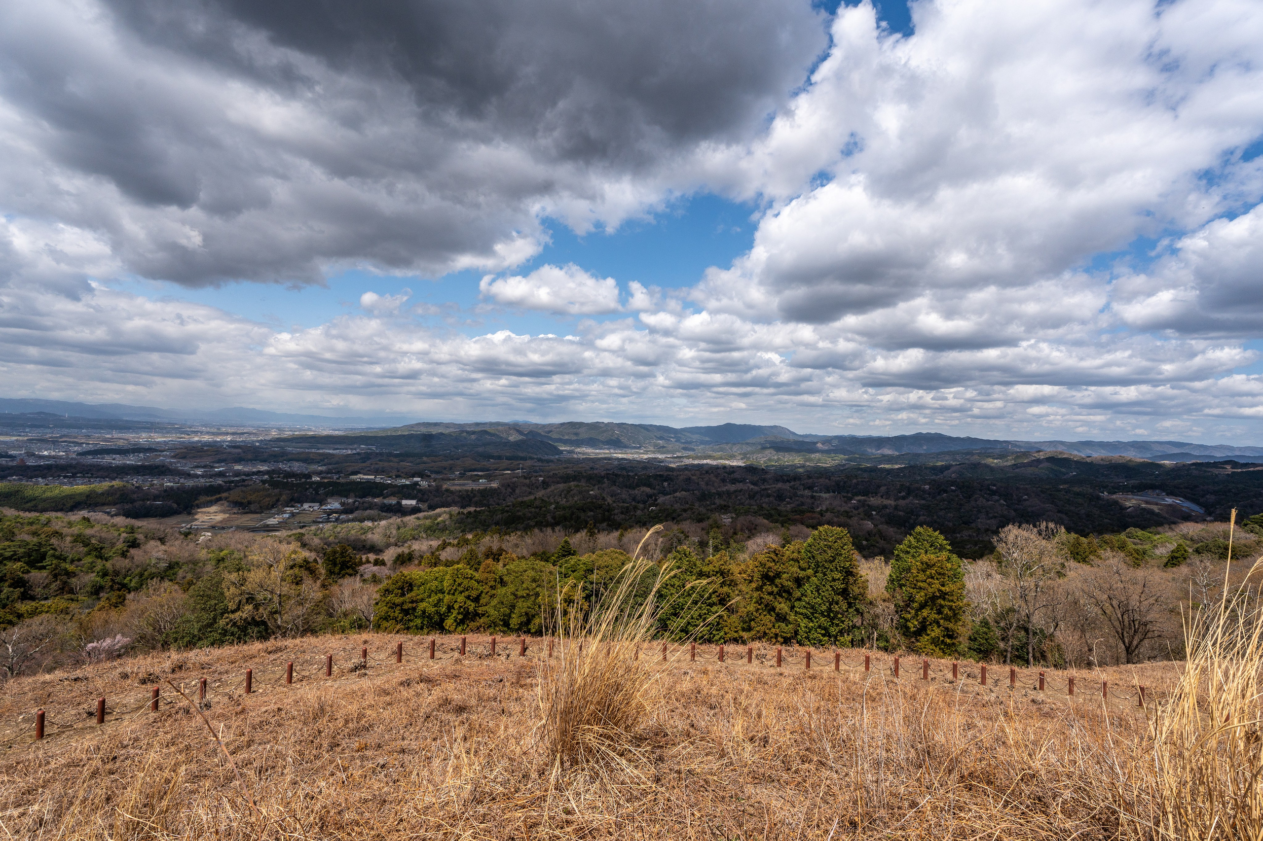 Япония, сакура. Творческие сьемки