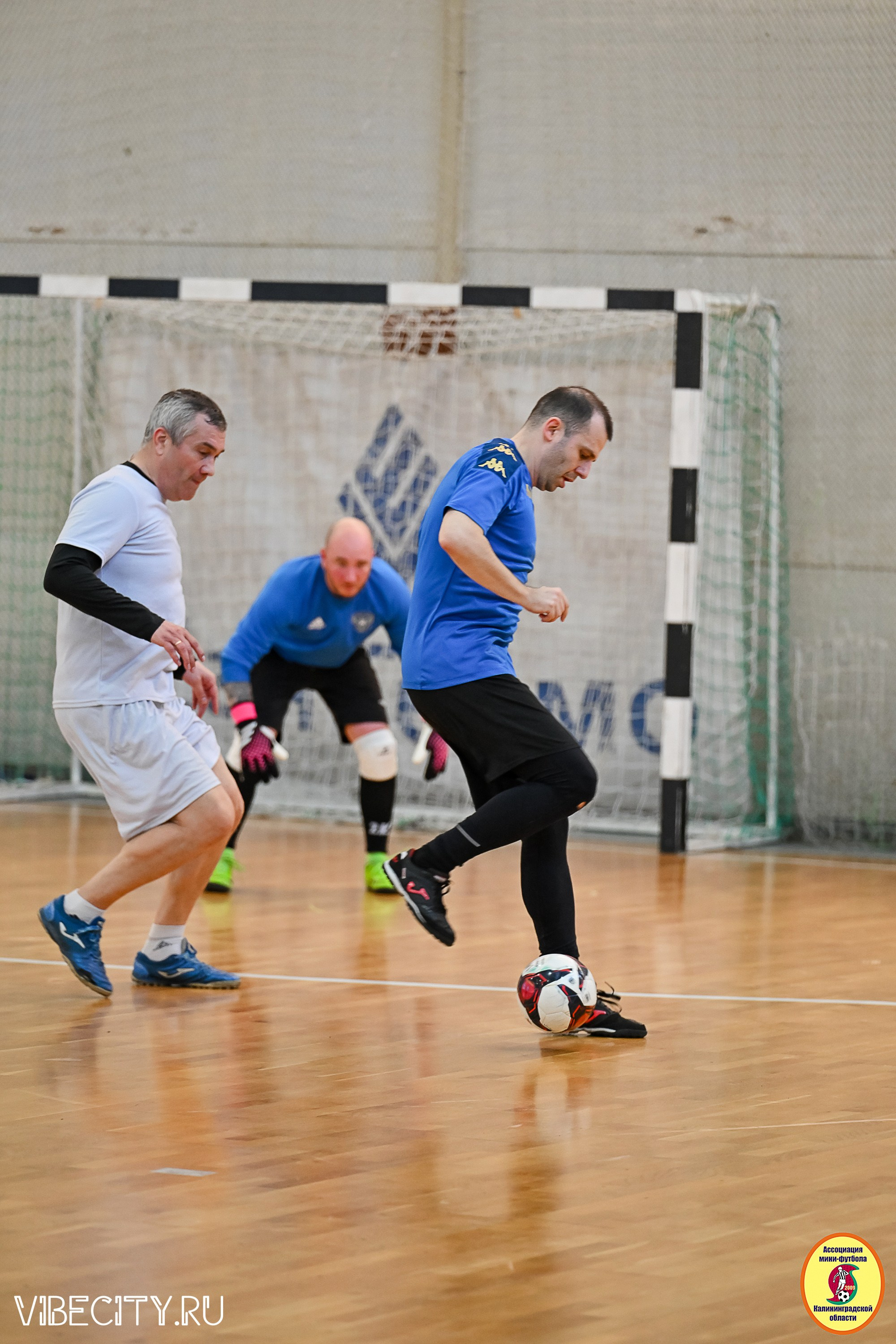 МФЛ СанТермо. VIBECITY.RU Вайб Сити Ру Фоторепортажи Фотоотчеты Калининград