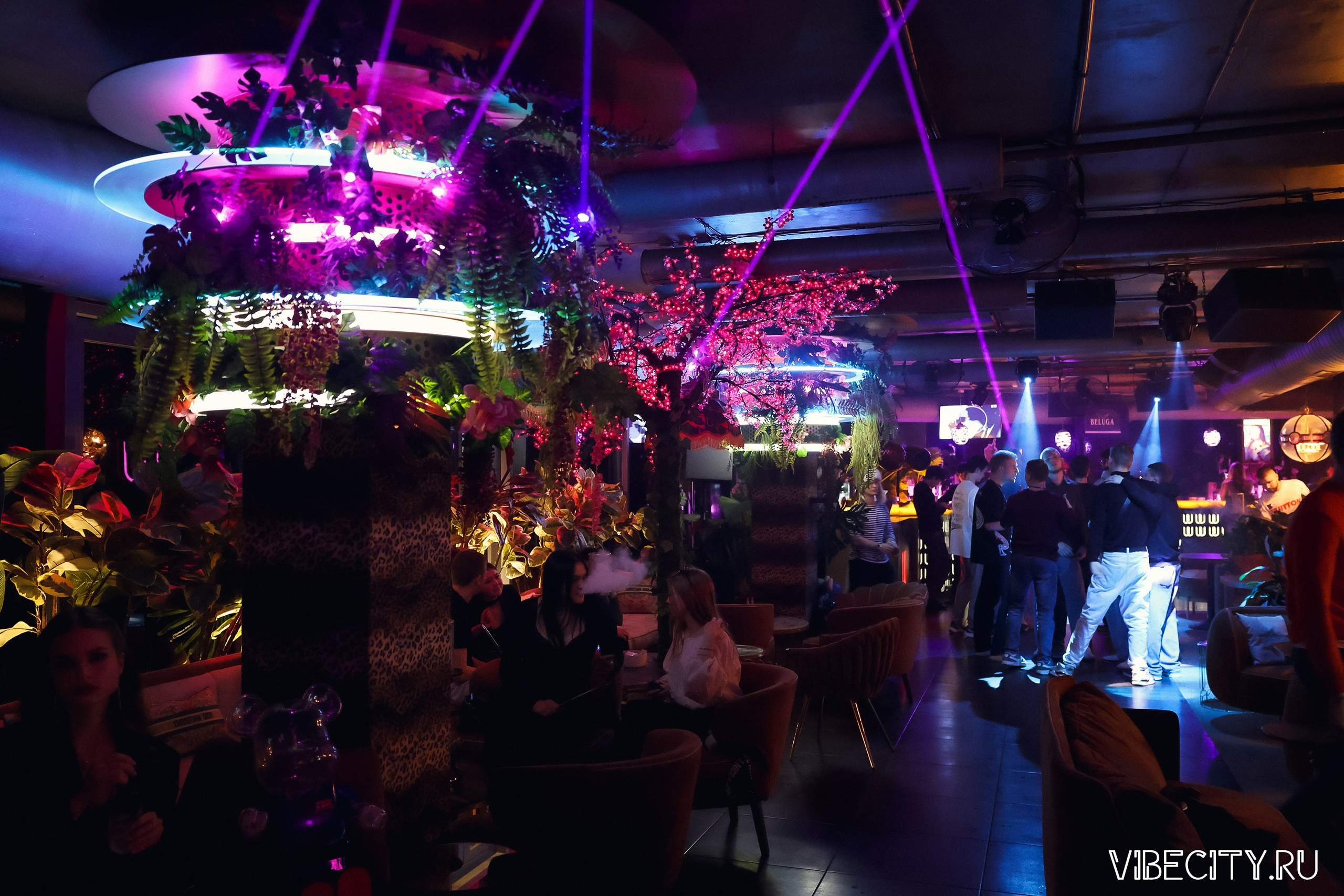 DOUBLE U. VIBECITY.RU Вайб Сити Ру Фоторепортажи Фотоотчеты Калининград