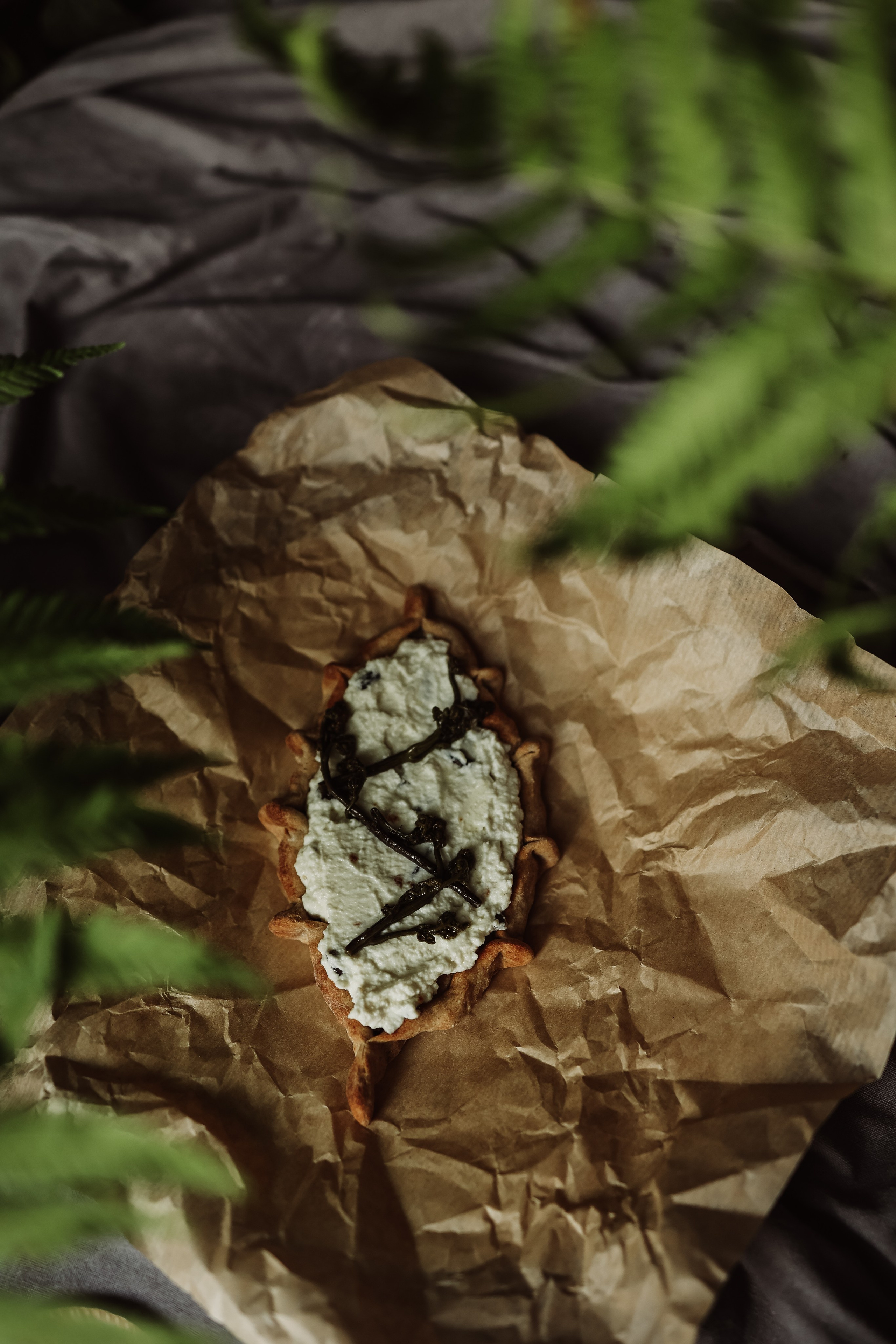 Меню для кафе «Папоротник». Фотограф Юлия Говор