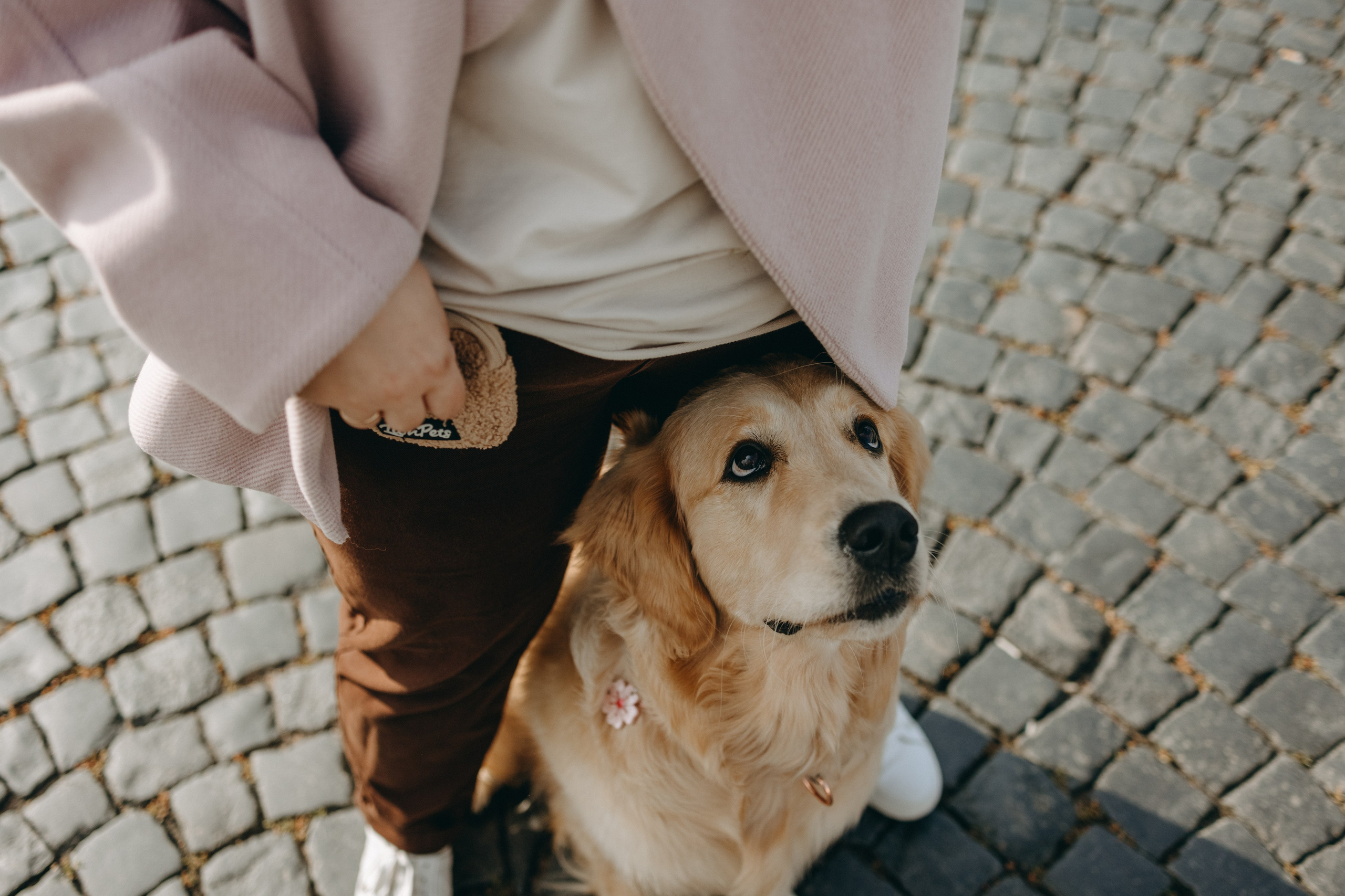 Бетти и ее семья. Фотограф — Анималист | Санкт-Петербург