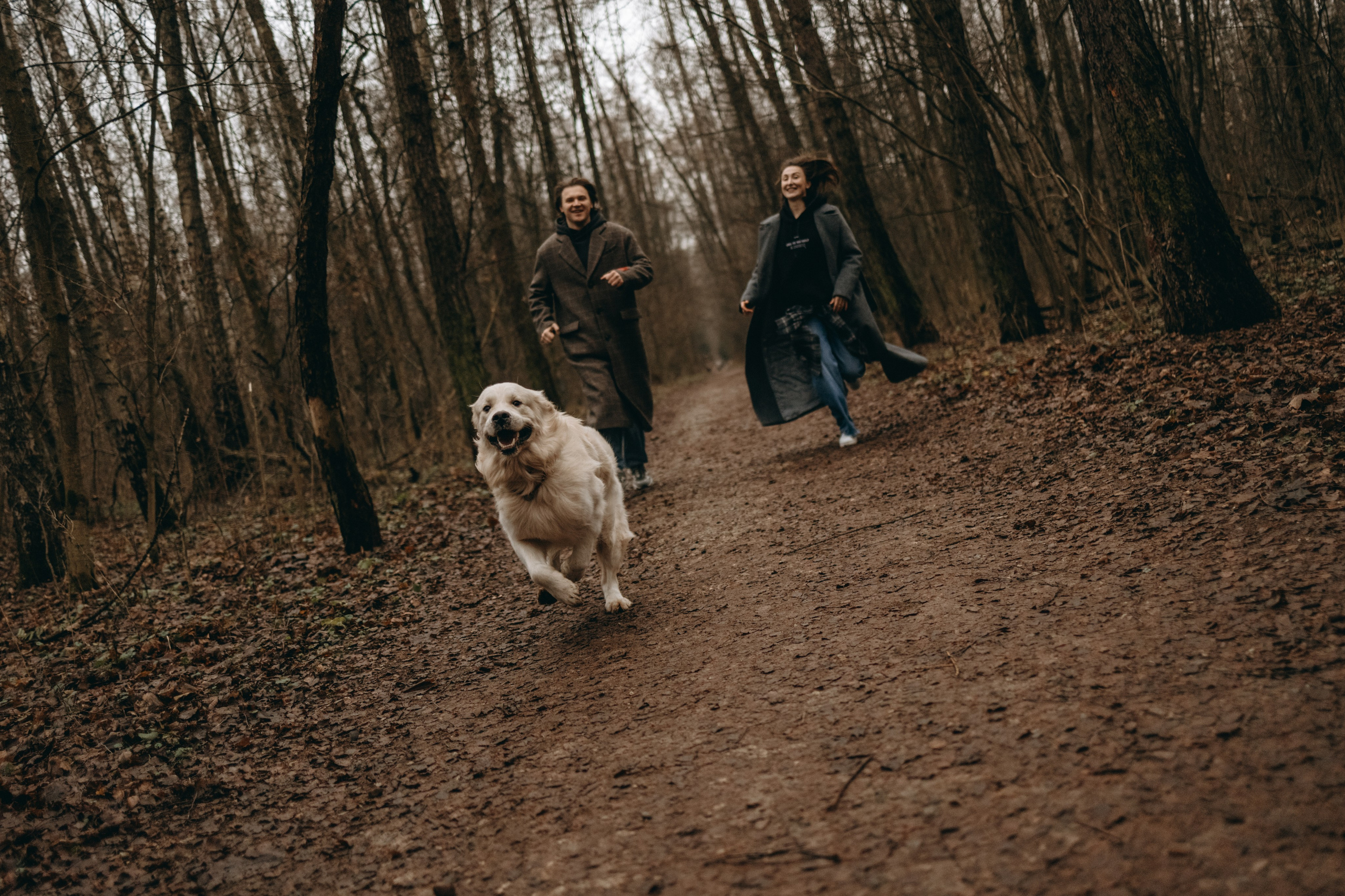 Лаки и его семья. Фотограф — Анималист | Санкт-Петербург