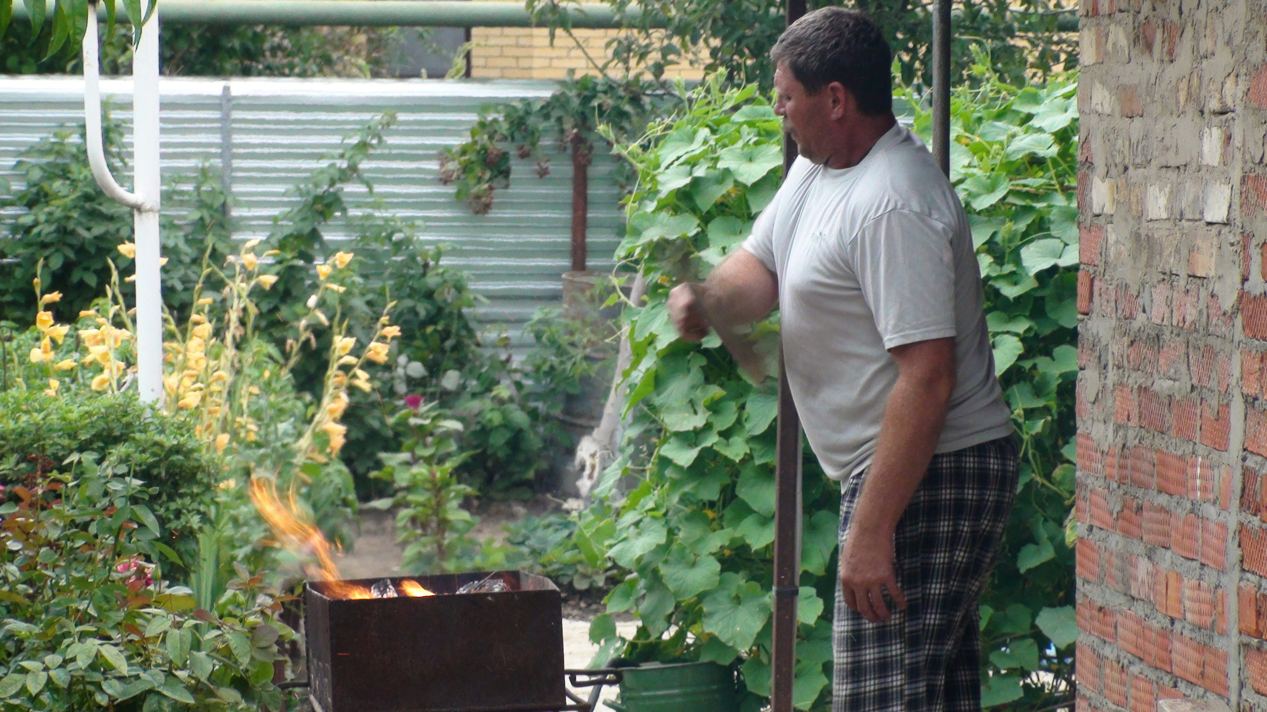 Отпуск 27.05-16.08. Семейный, Свадебный фотограф СПБ Питер— Романова Екатерина