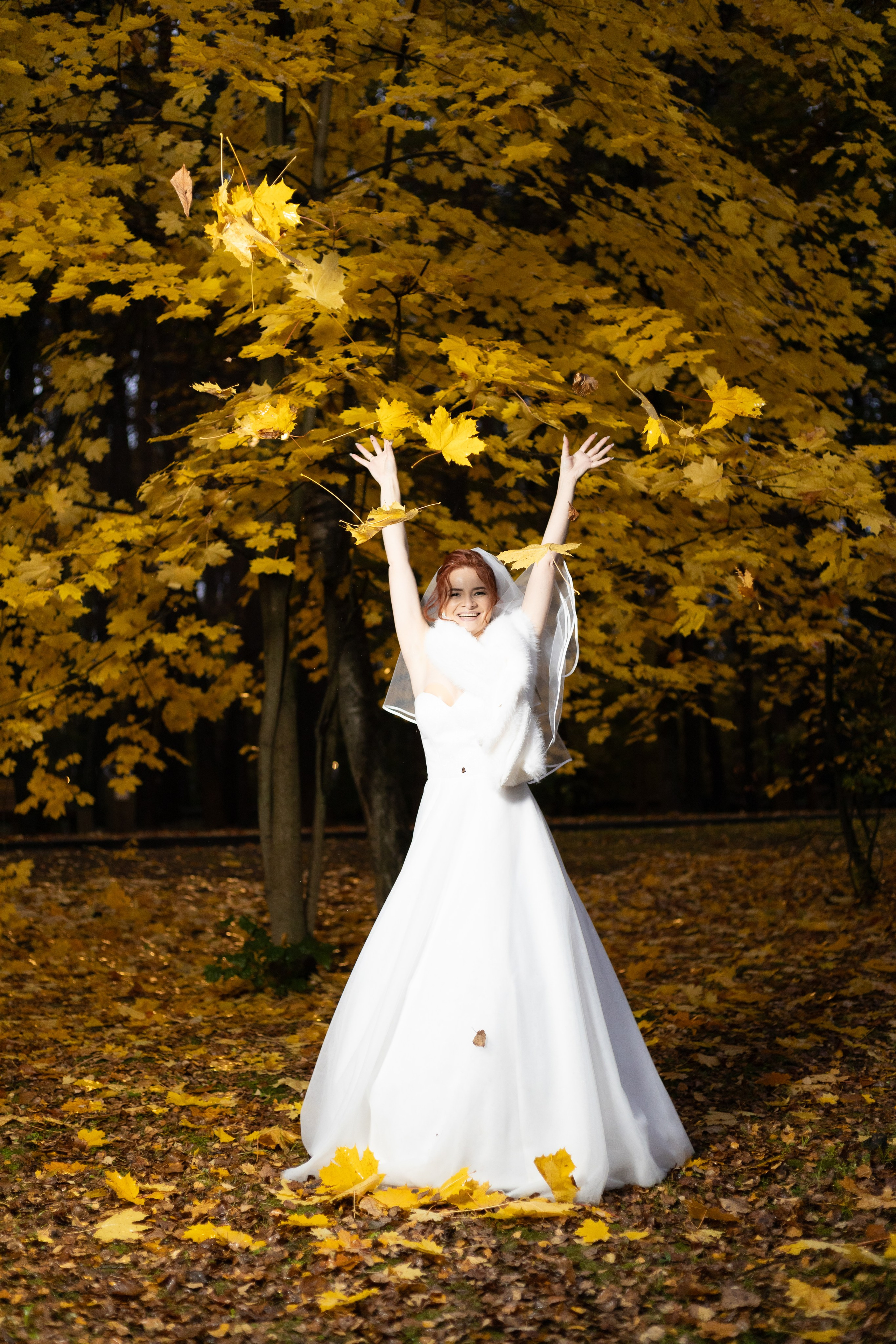 Ёлочки. Свадебный и семейный фотограф и видеограф Александр в Москве и Московской Области