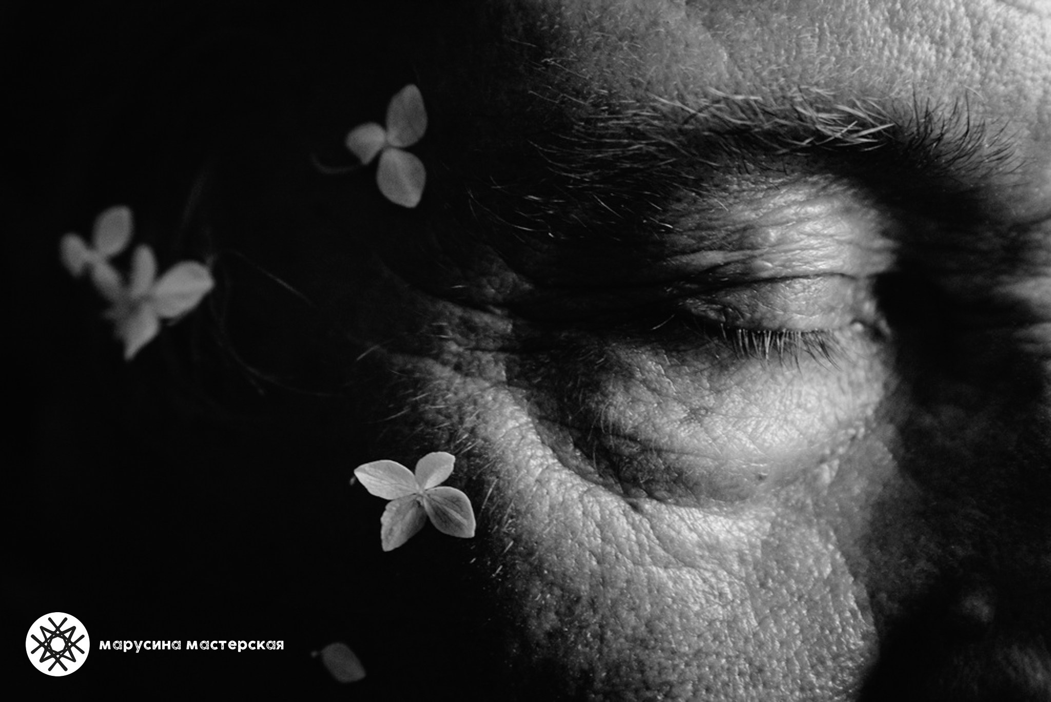 Елена Фомина