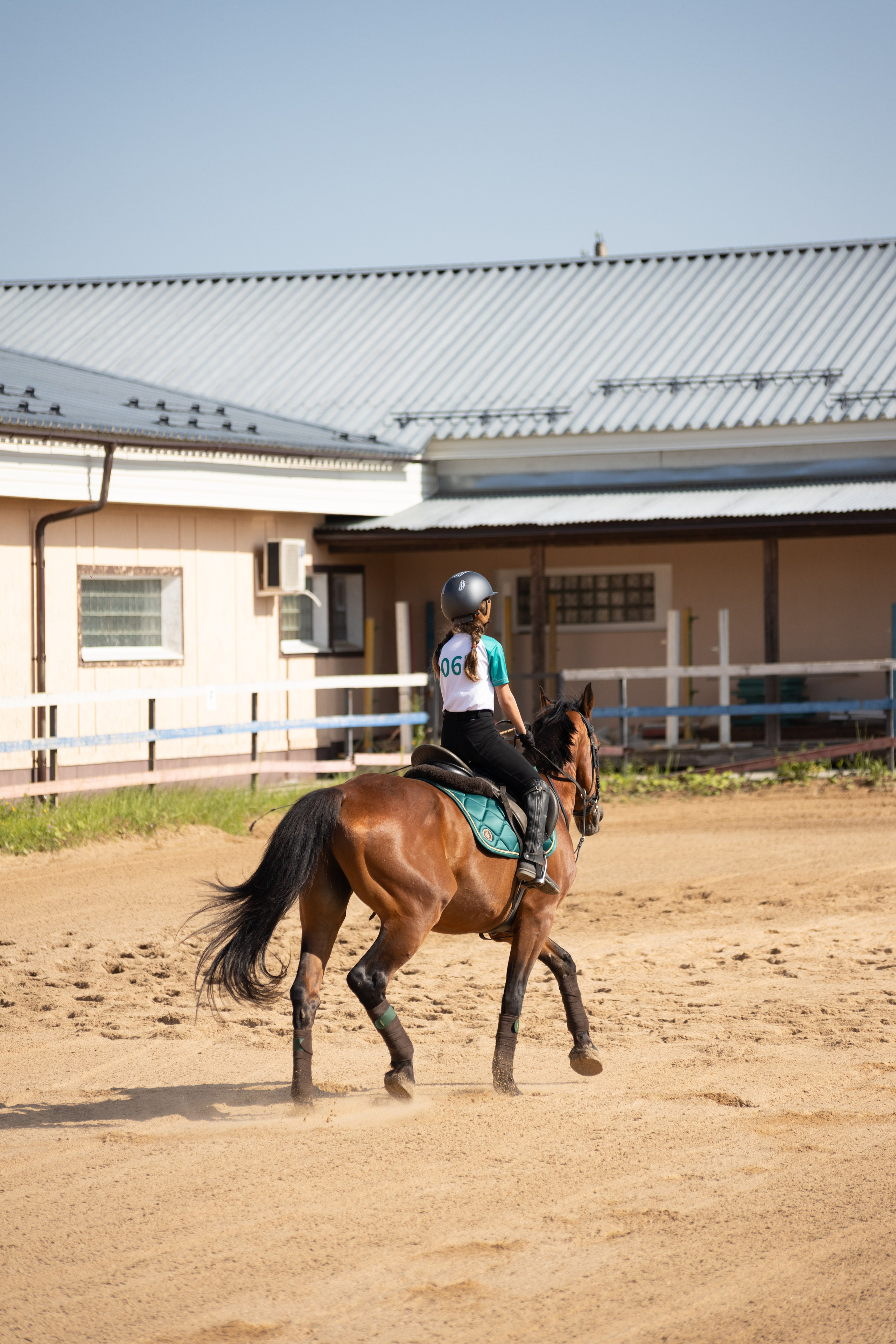 Конюшня. Фотограф в Москве и Истре