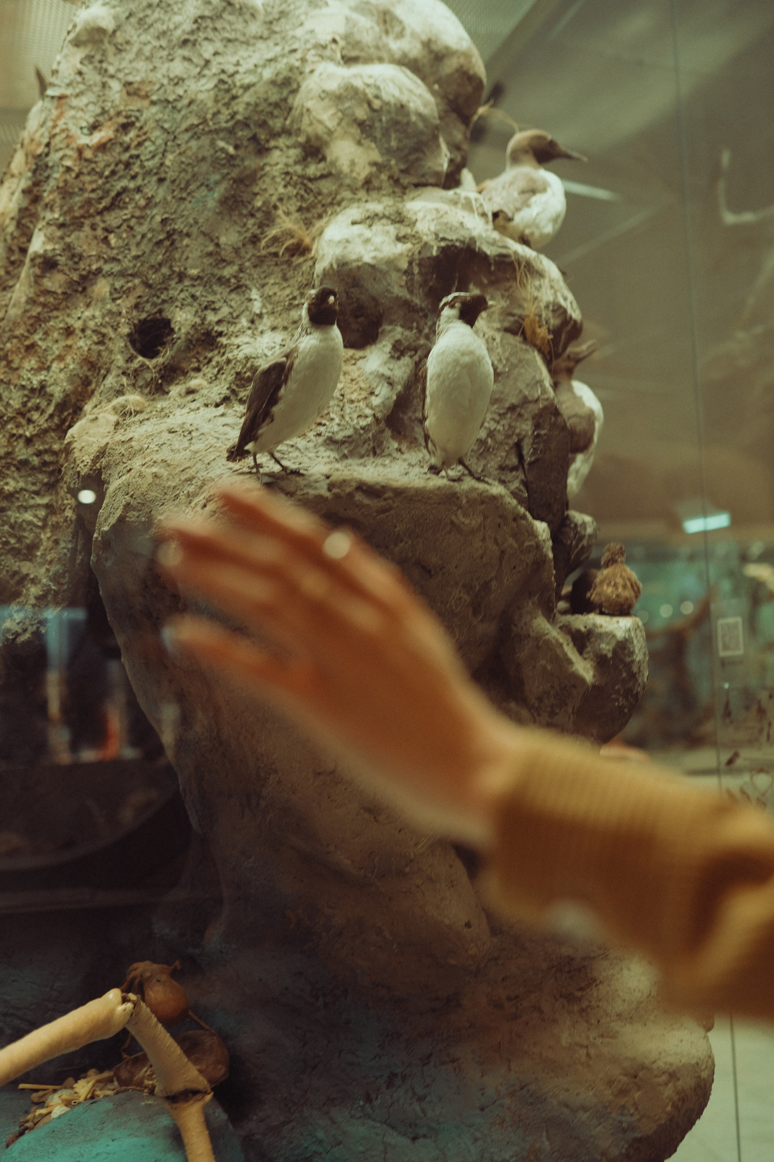 Тамара. Фотограф Екатерина Катунова | Москва