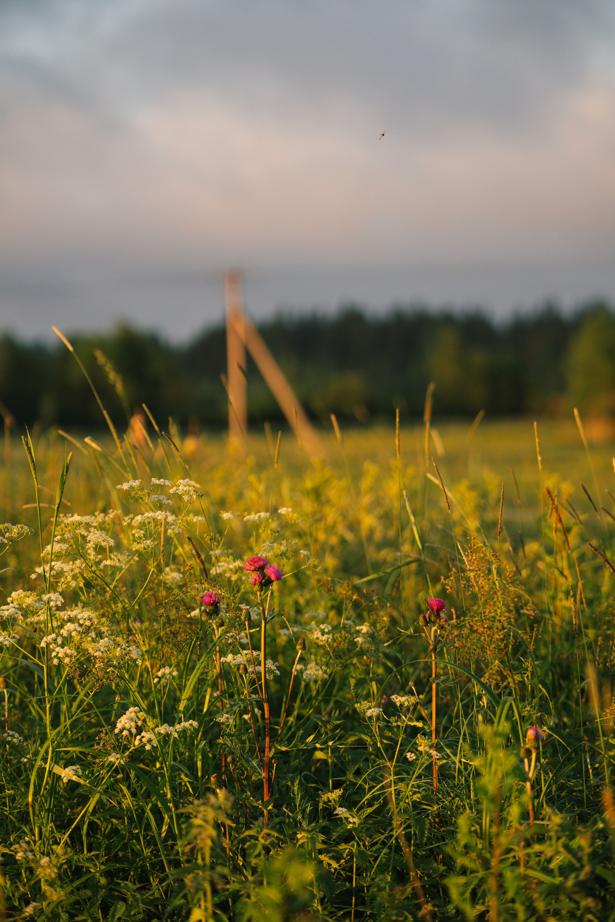 Санкт-Петербург. Фотограф Екатерина Катунова | Москва