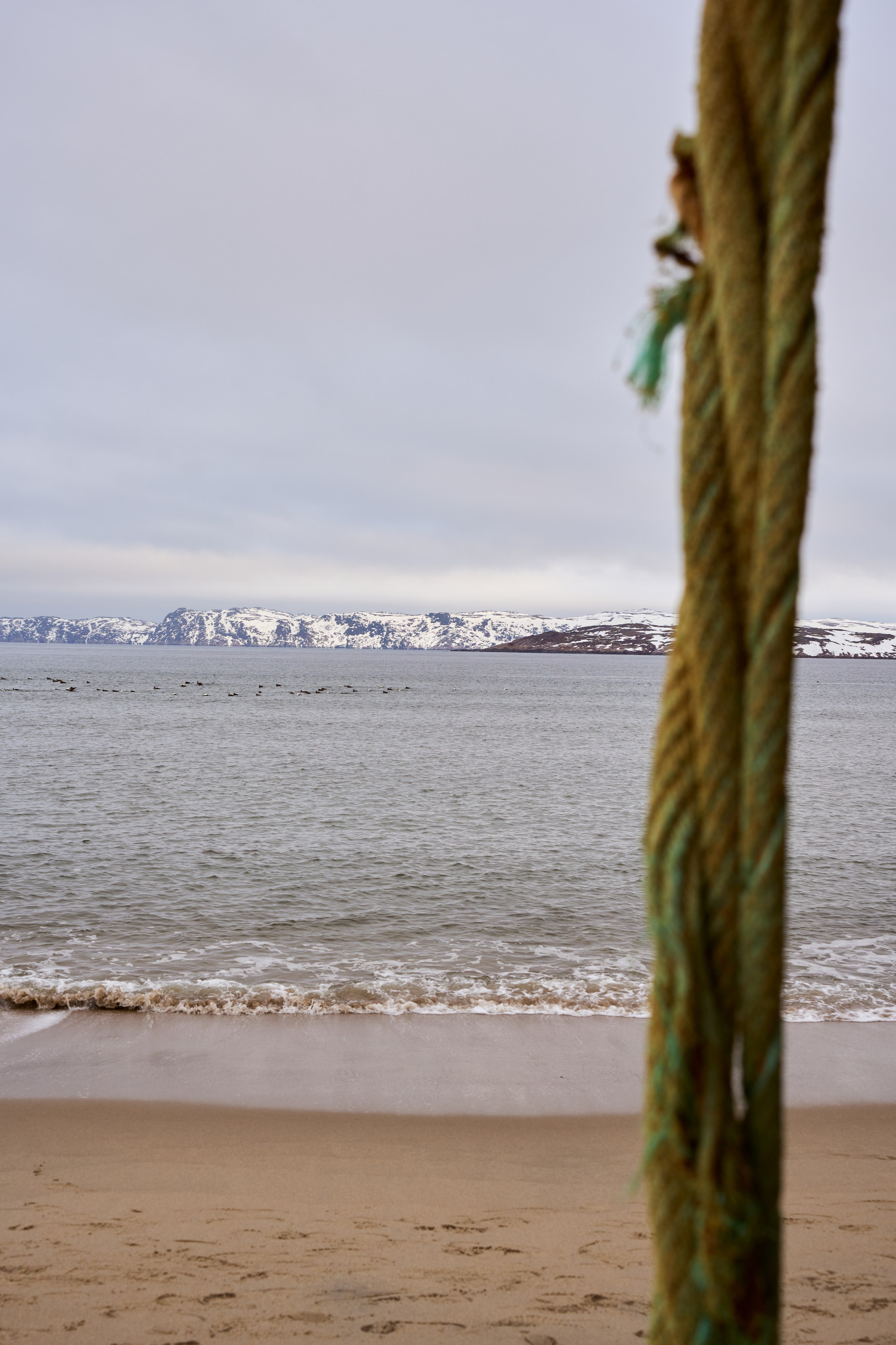 TERIBERKA. Photographer in Yekaterinburg, Sochi, Istanbul, Tbilisi-Bshari Zaana