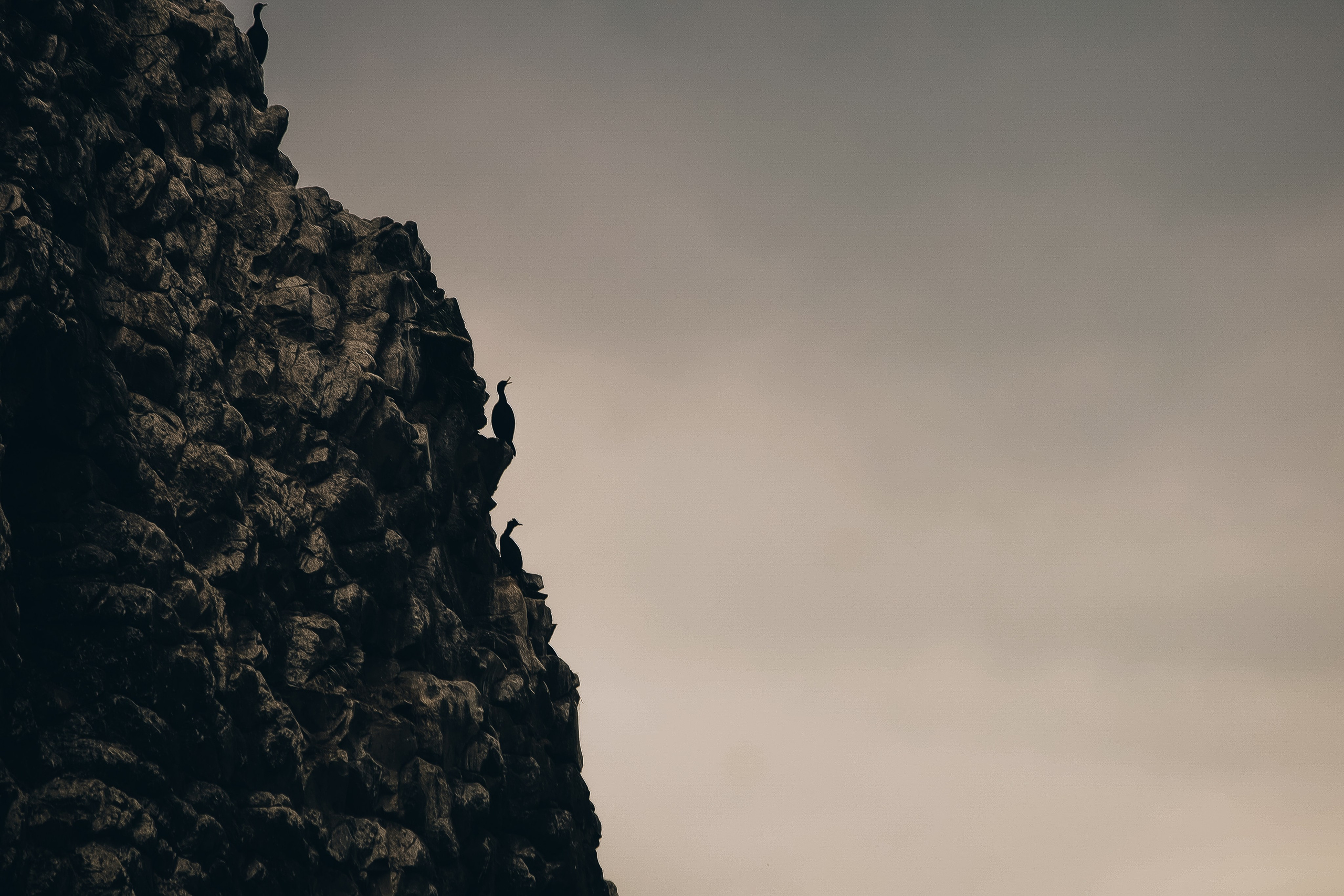 Выставка Курилы. Николай Филиппов Event & Concert Photographer Москвf