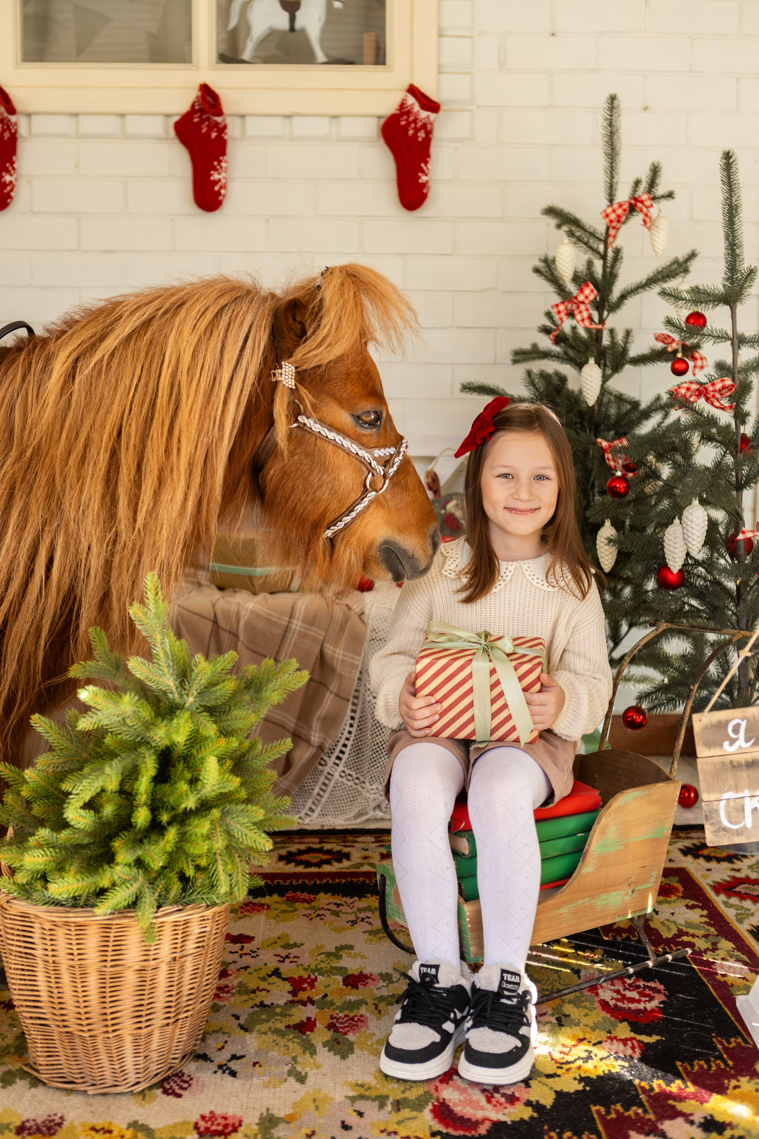 Символ 2026 года «Пони-Бонус». Фотостудия Ольги Сурухановой. Свадебный семейный и детский фотограф в Краснодаре Карина Федоровская