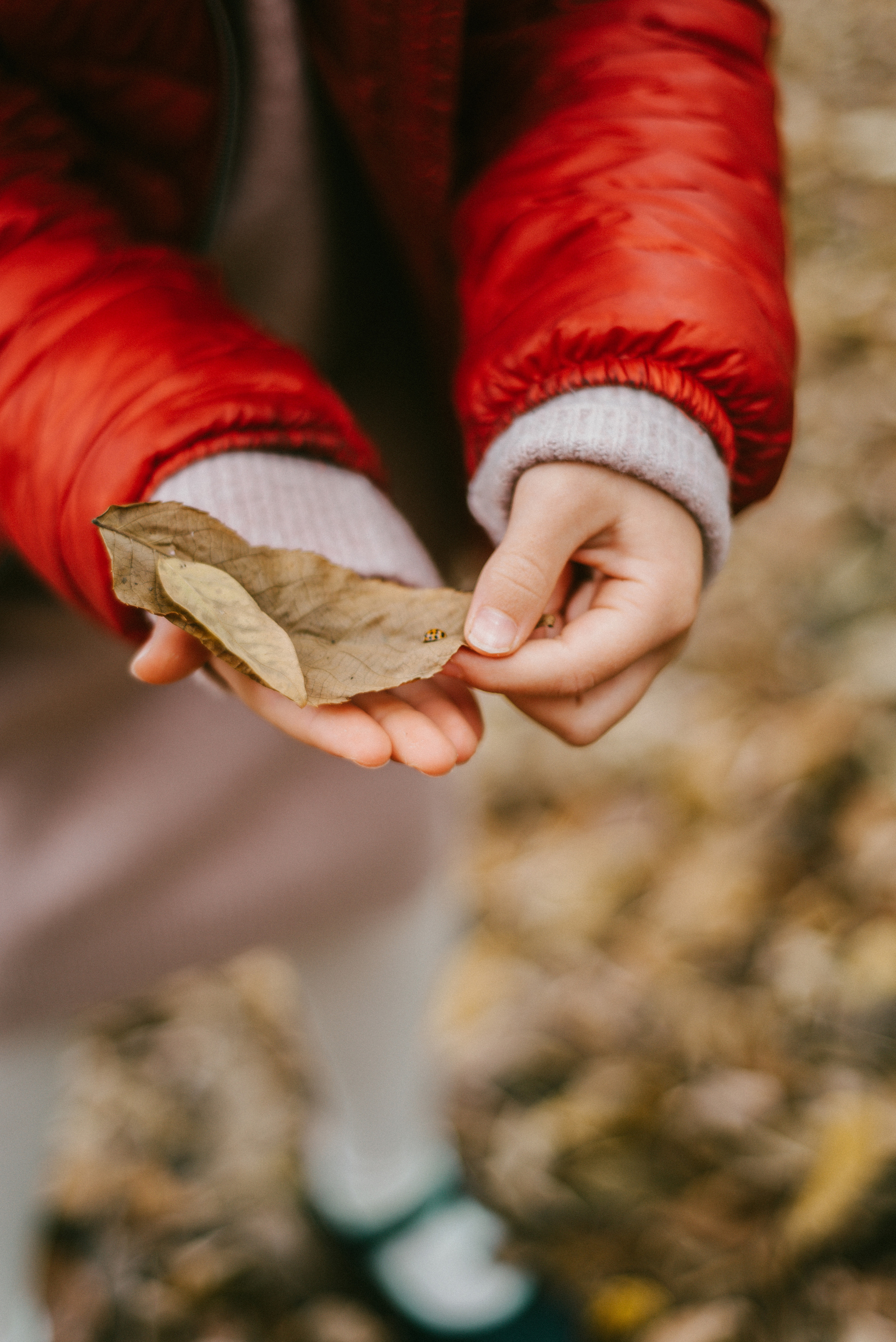 Two angels and a ladybug. Василиса Кёниг