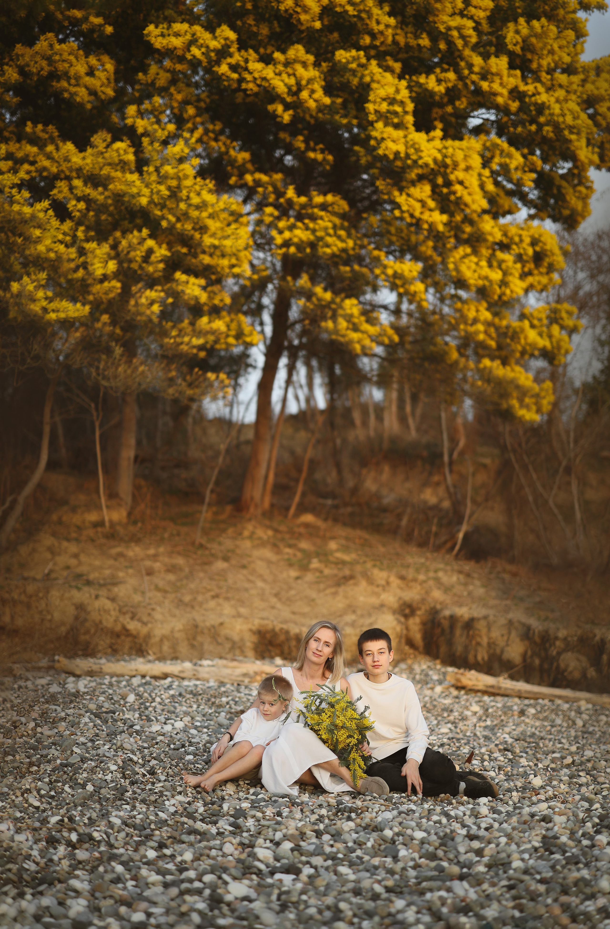 фотосессии мимозы Абхазия