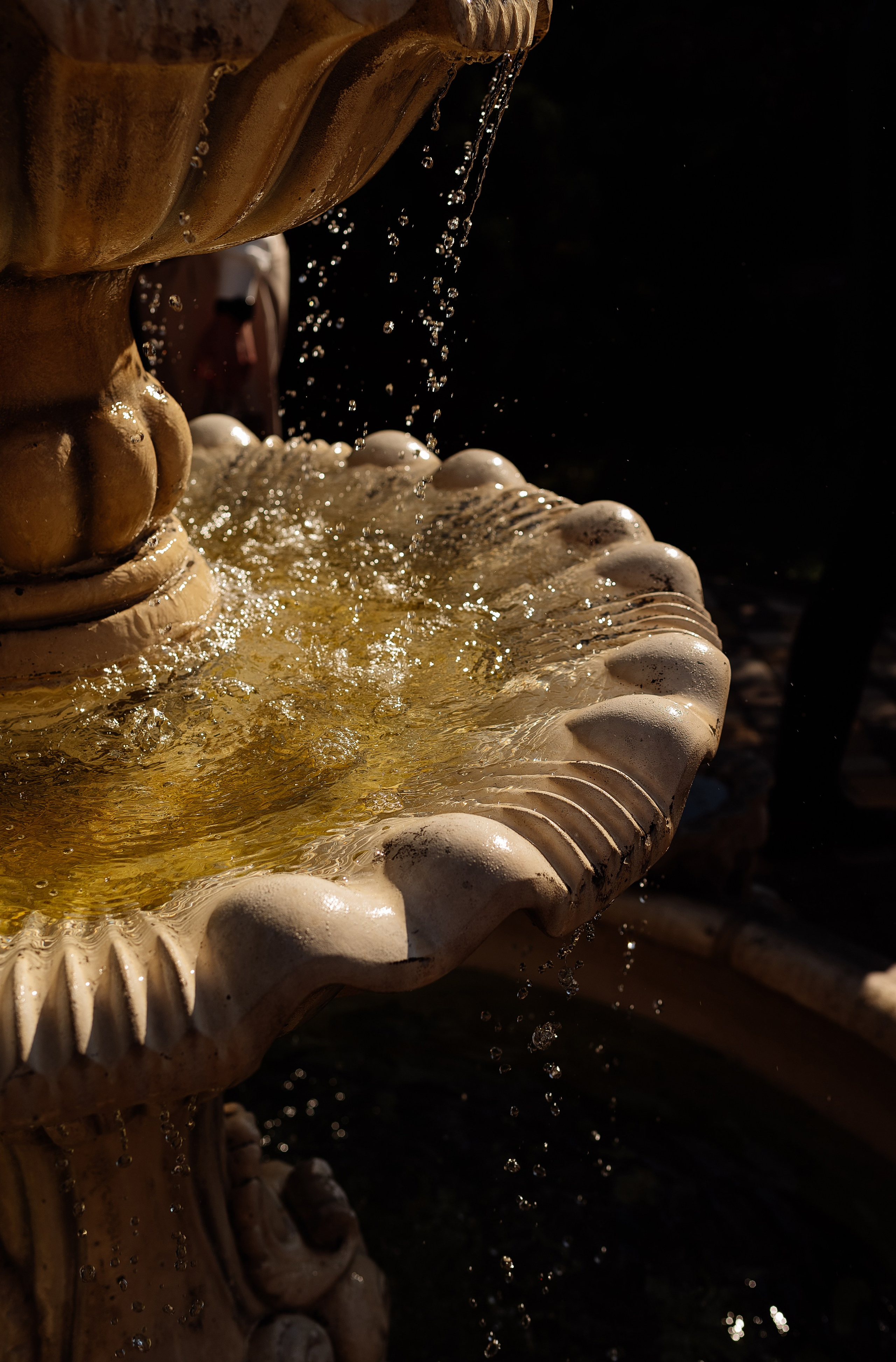 Сергей и Карина. Свадебный и семейный фотограф в Ростове-на-Дону Алина Астахова