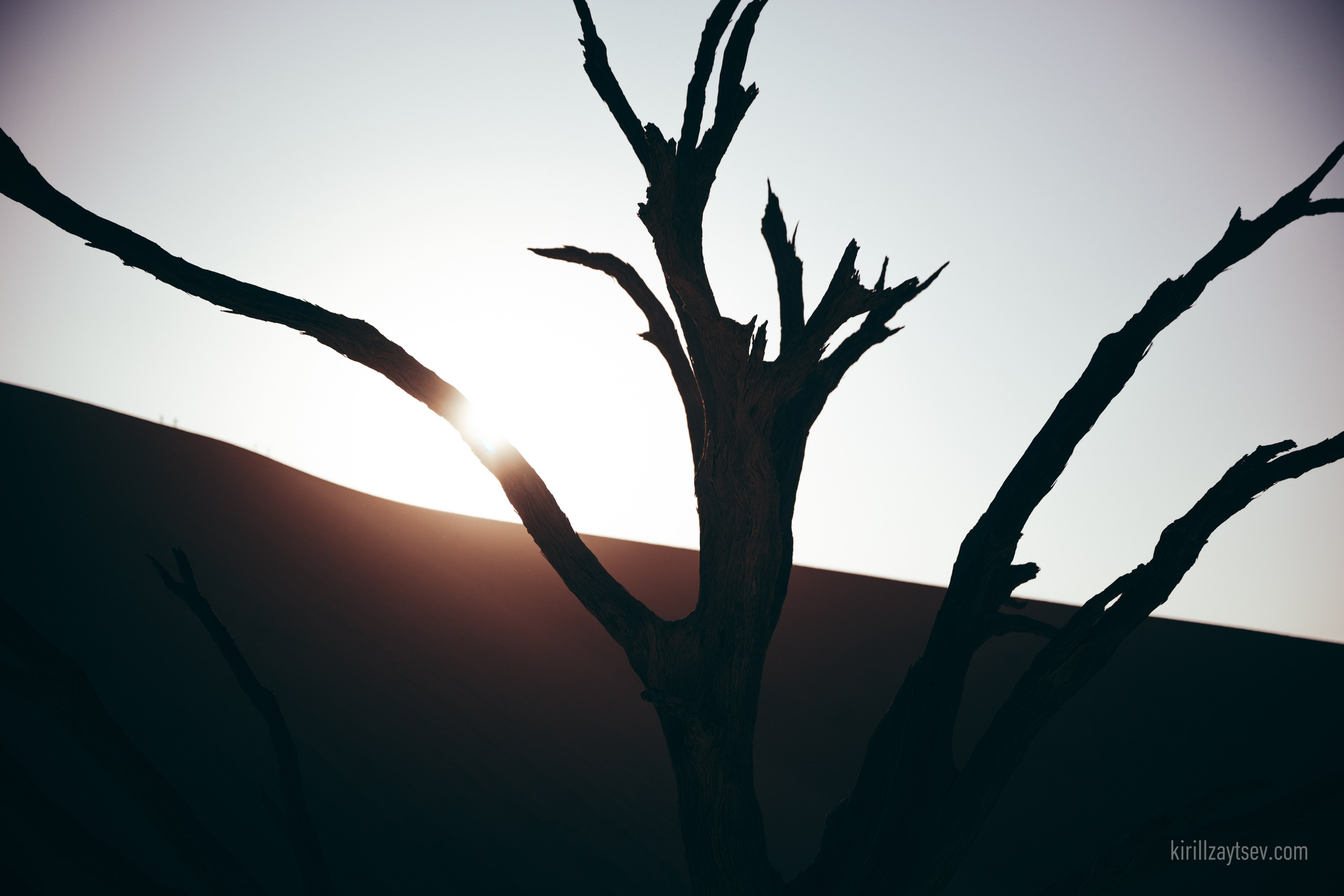 Жизнь. Профессиональный фотограф Кирилл Зайцев