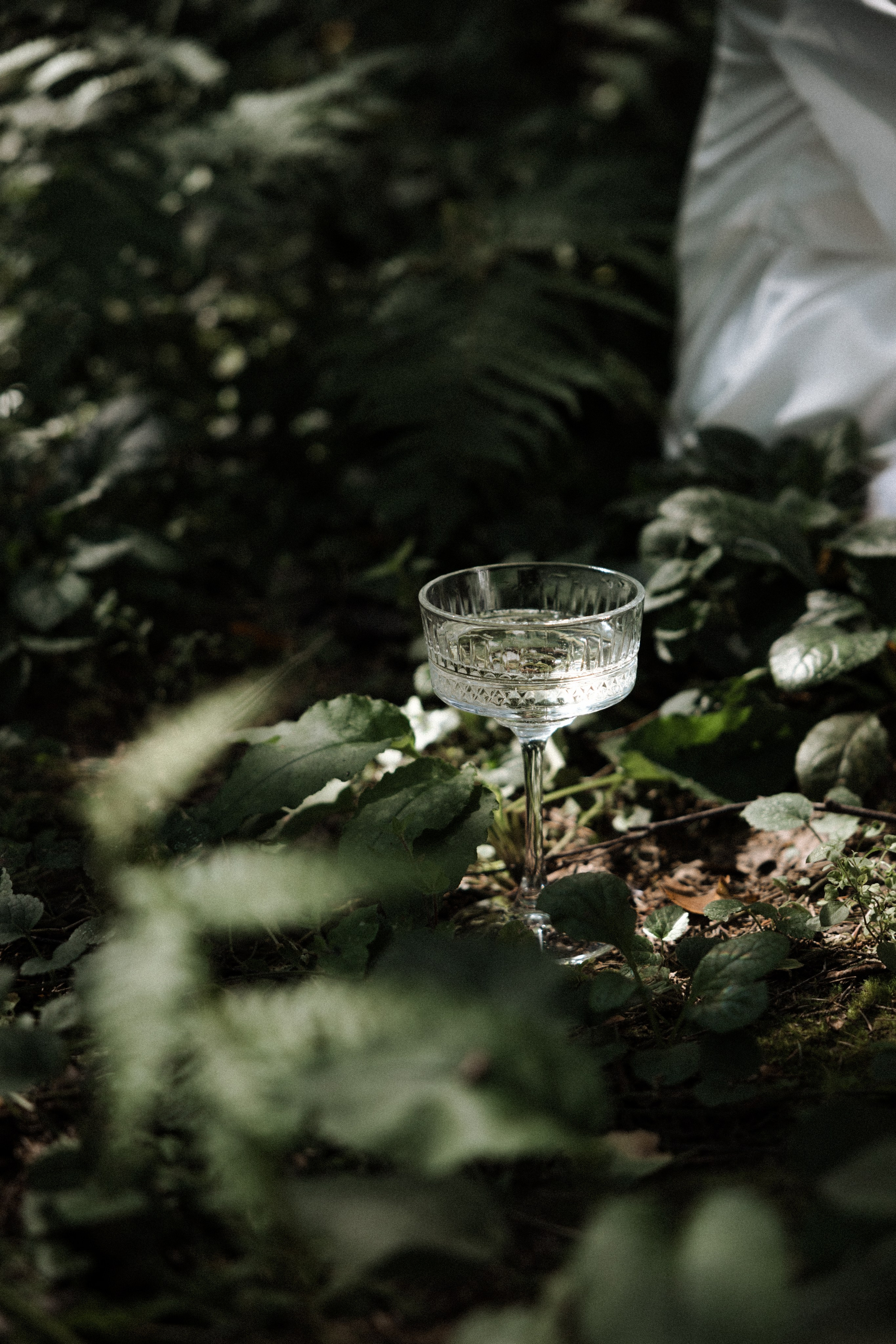 УЛЫБАЙСЯ, ЛЮБОВЬ МОЯ!. Фотограф Наталия Бирюкова