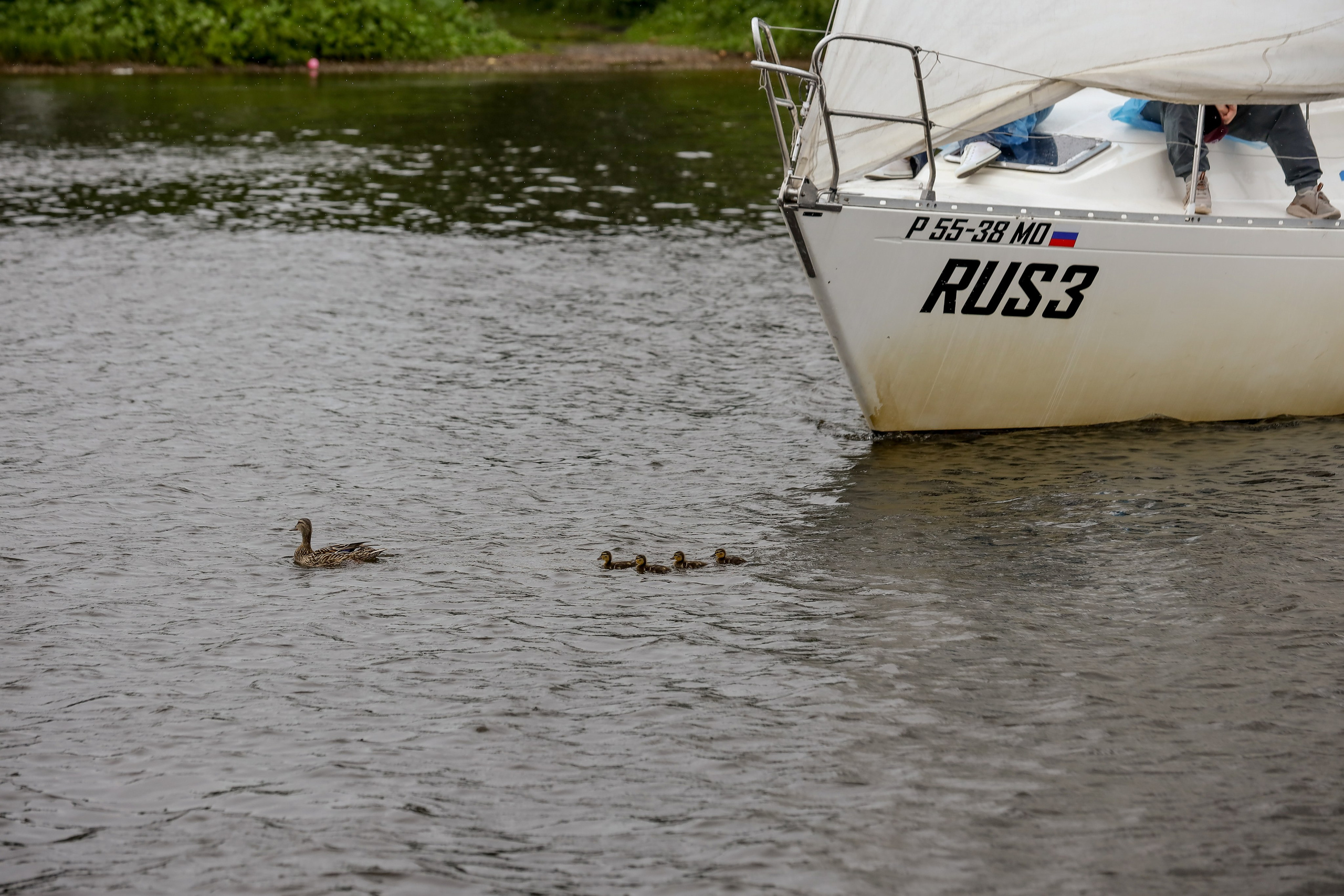 Tessa. Фотограф Антон Чупринин