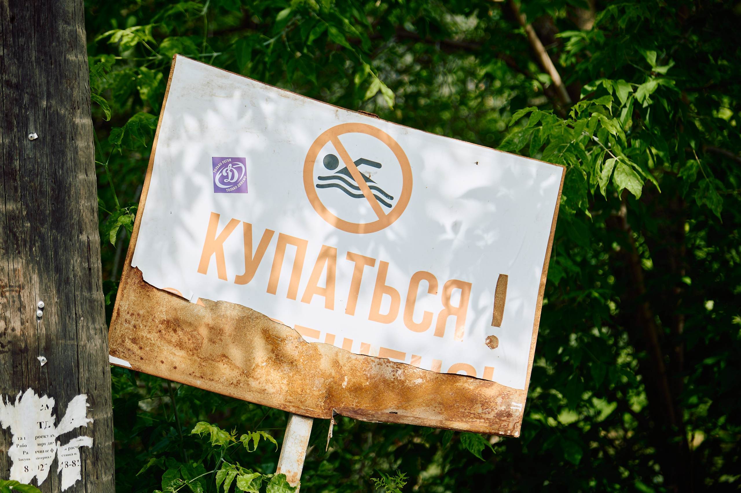 Сплав на сапах Красноярск