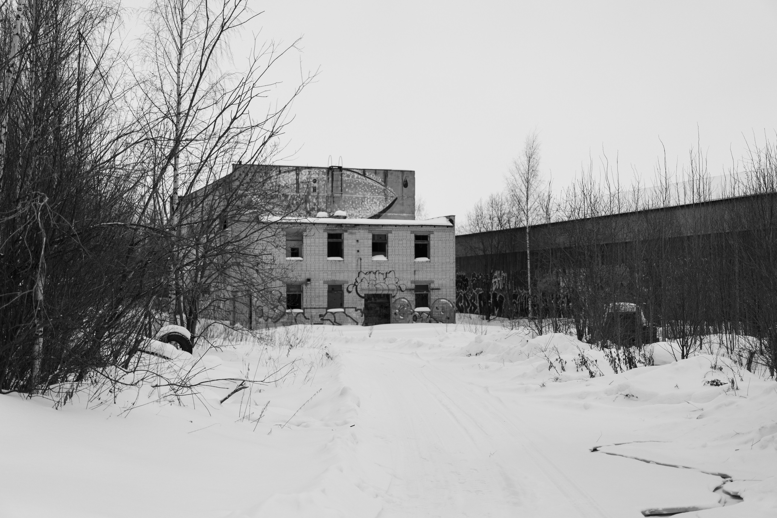 «Дыхание мёртвого леса» 2023  режиссер Евгений Татаров. Ольга Ибатуллина