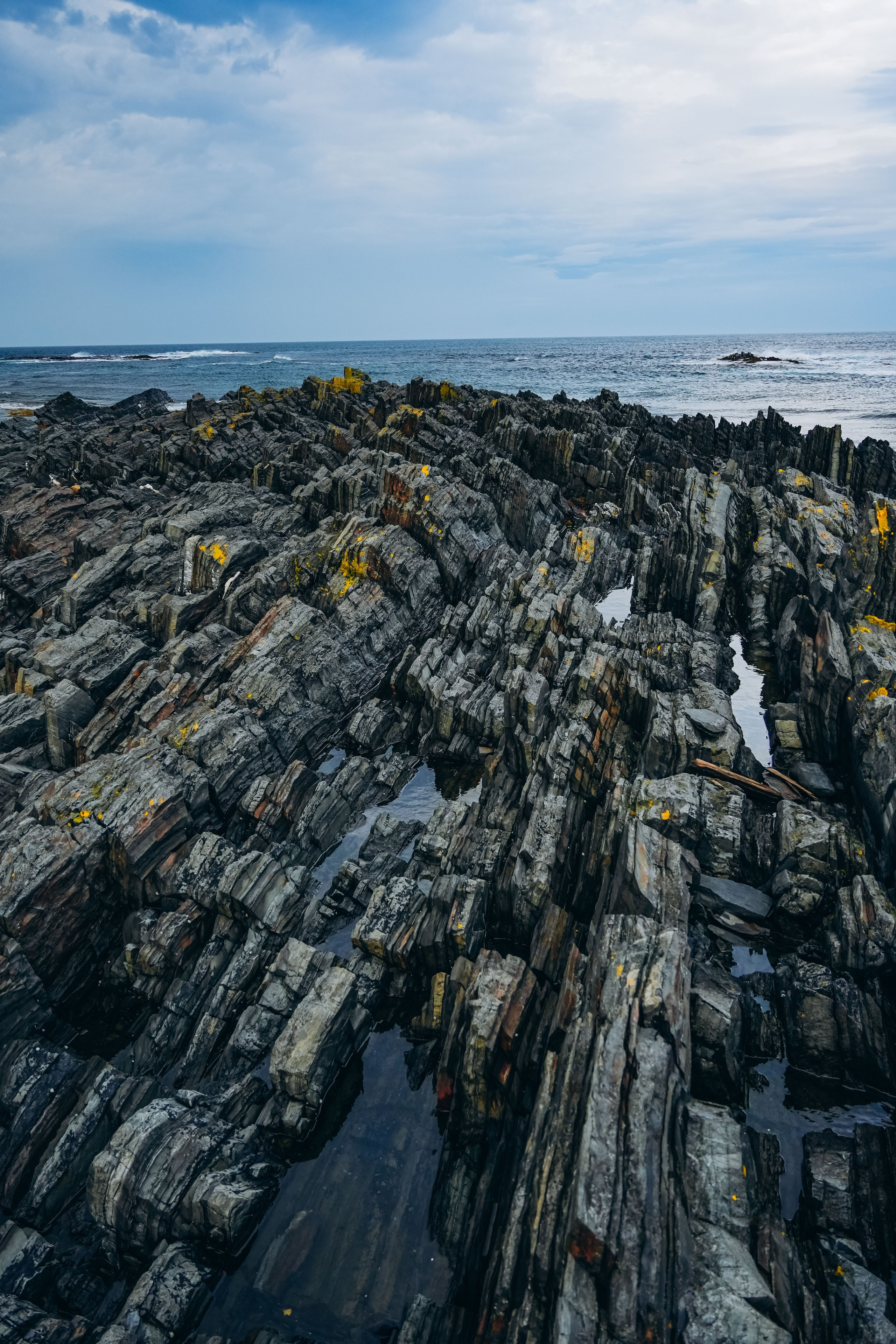 СЕВЕР. Event фотограф Степанова Александра