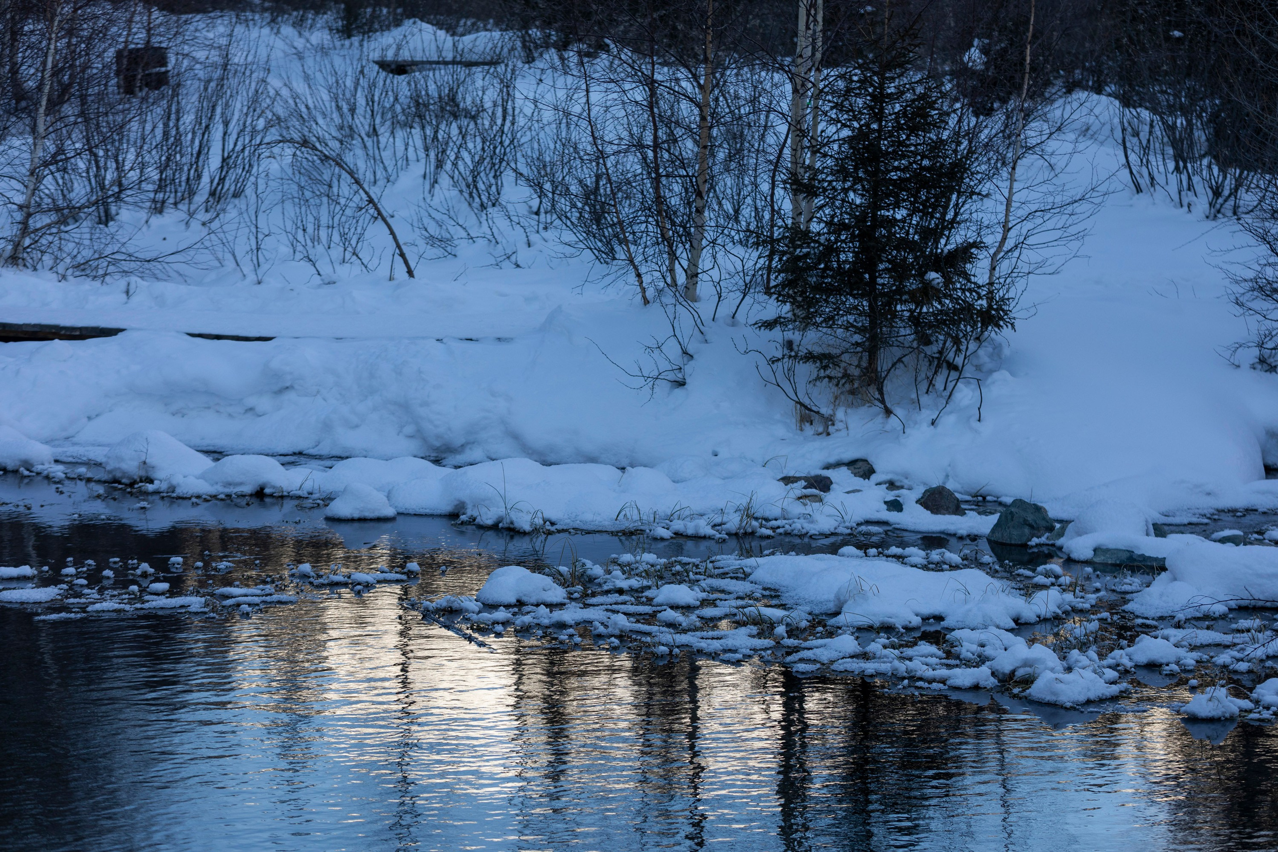 Алтай в декабре. Марина Захарова — Фотограф. Москва / Marina Zakharova — Photographer