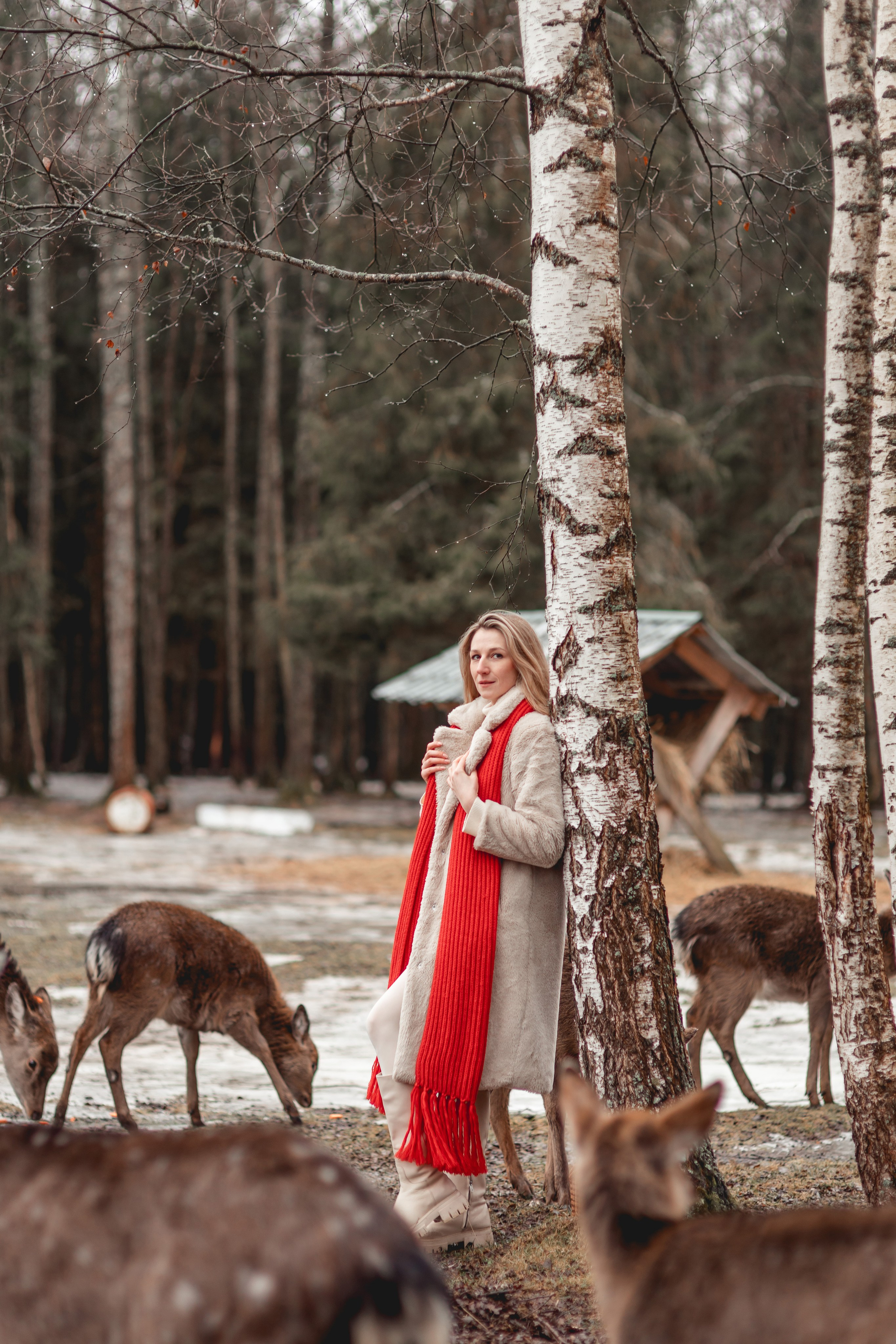 Фототур в Веретьево (даты проведения 14–15 февраля 2026 г.). Главная