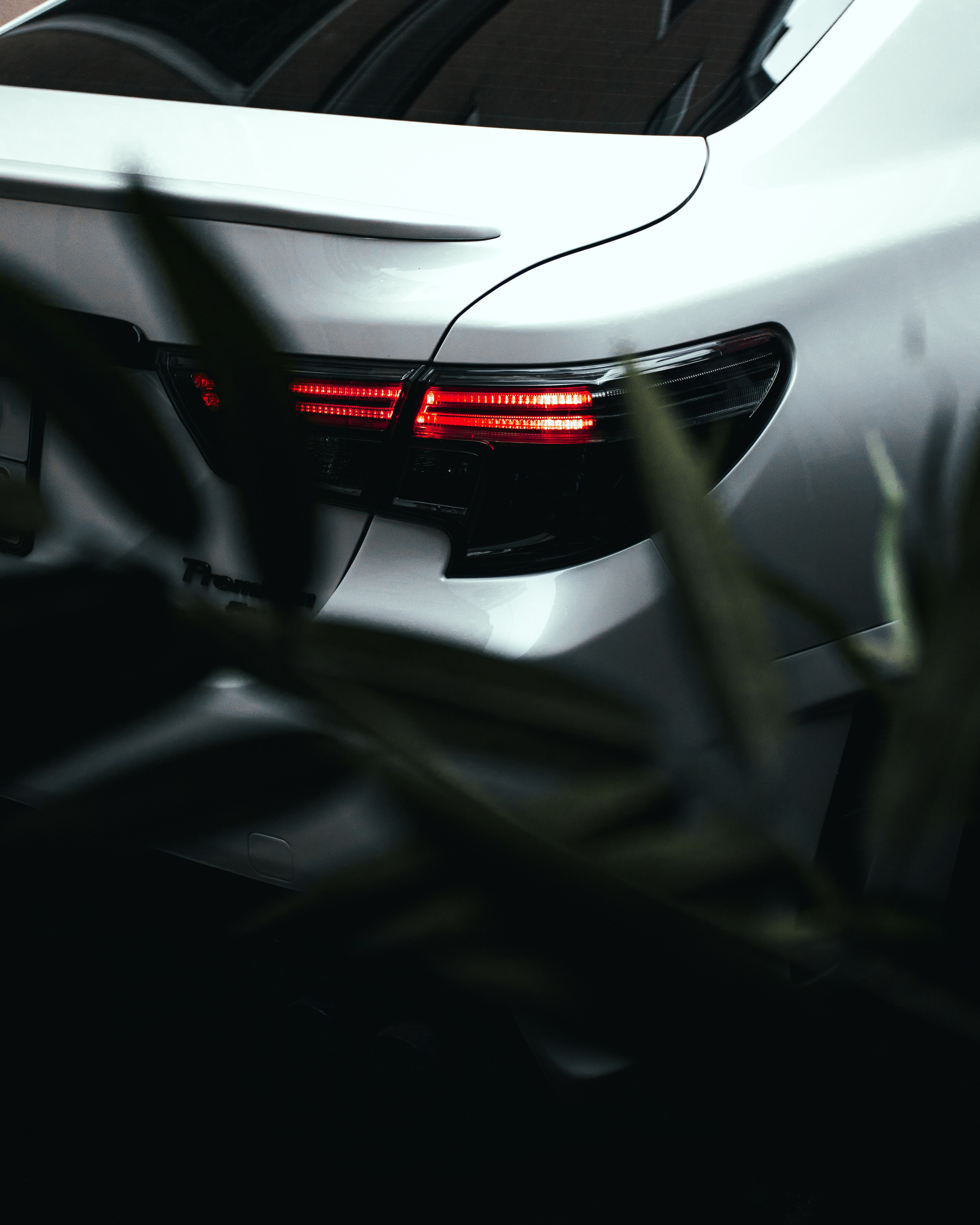 MARK X. Спортивный фотограф — Никита