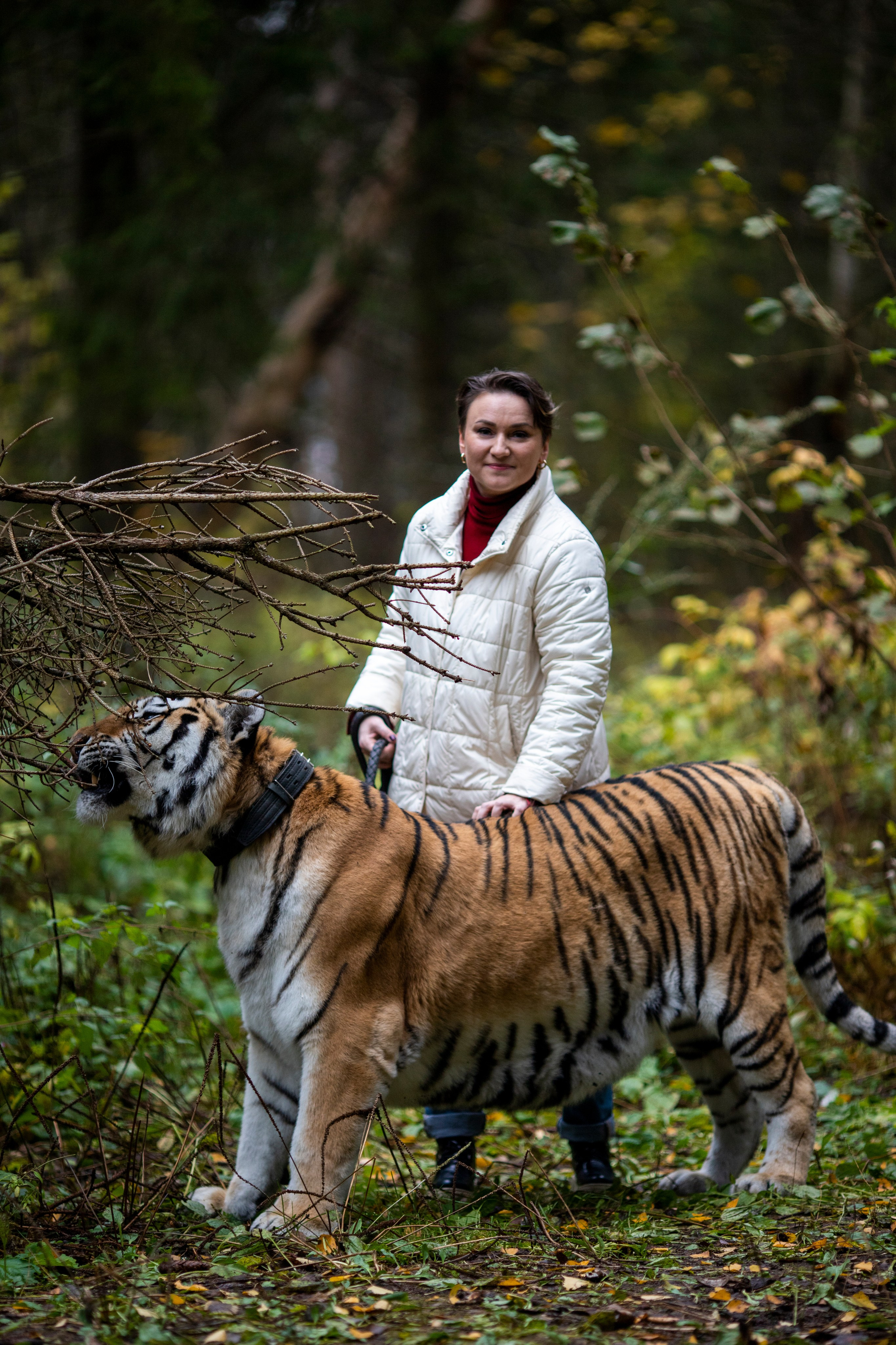 С тигром. Фотограф в Москве и в Московской области Сандра
