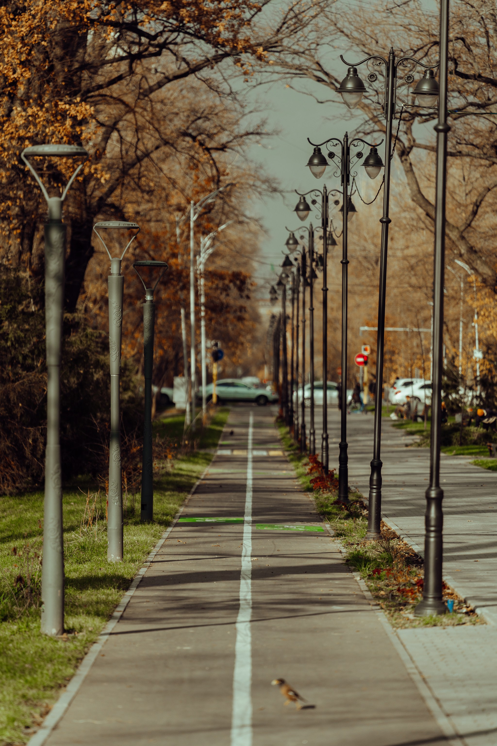 Алматы, Декабрь 2024