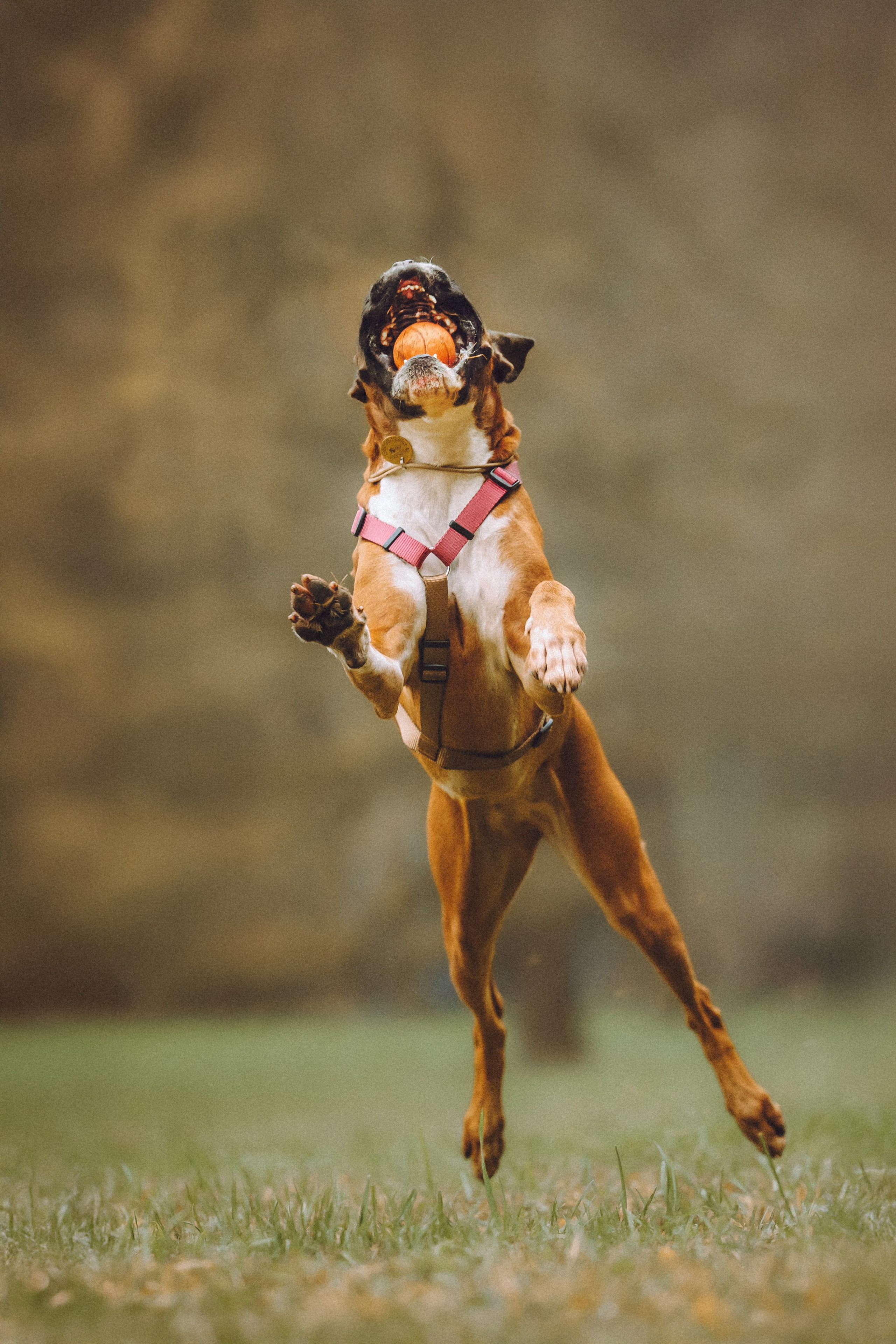 Элли и ее семья