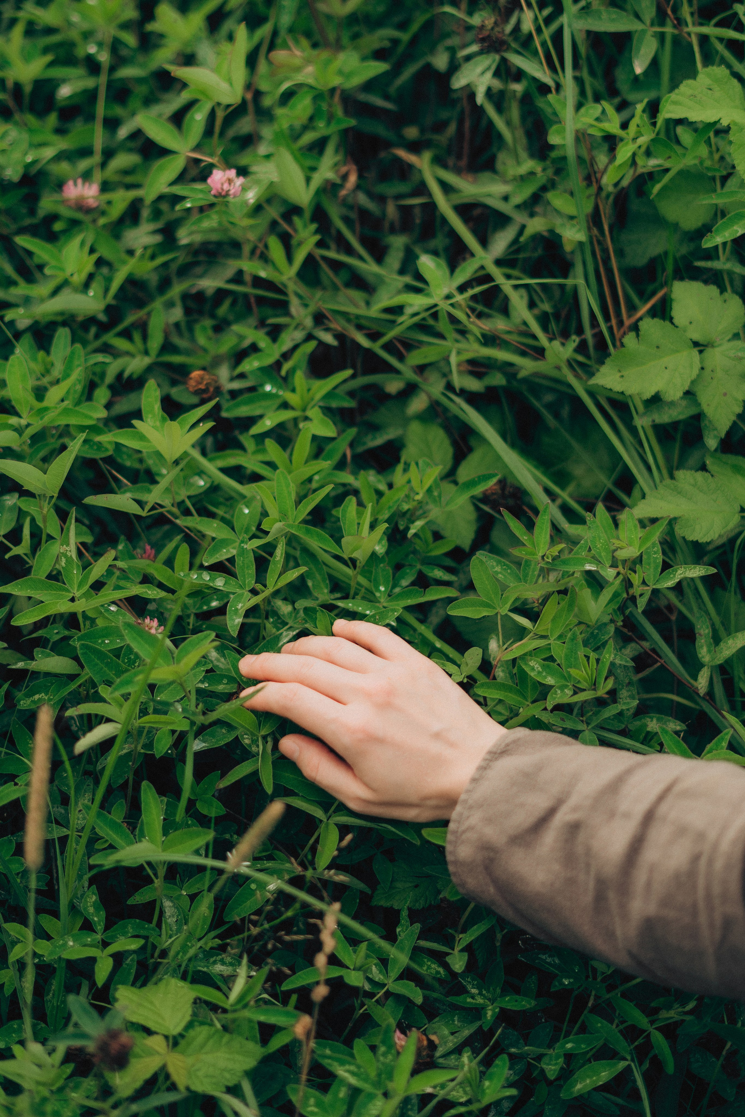 Портретная индивидуальная фотосессия в Москве. Фотограф Москва Виктория-Антуанетта