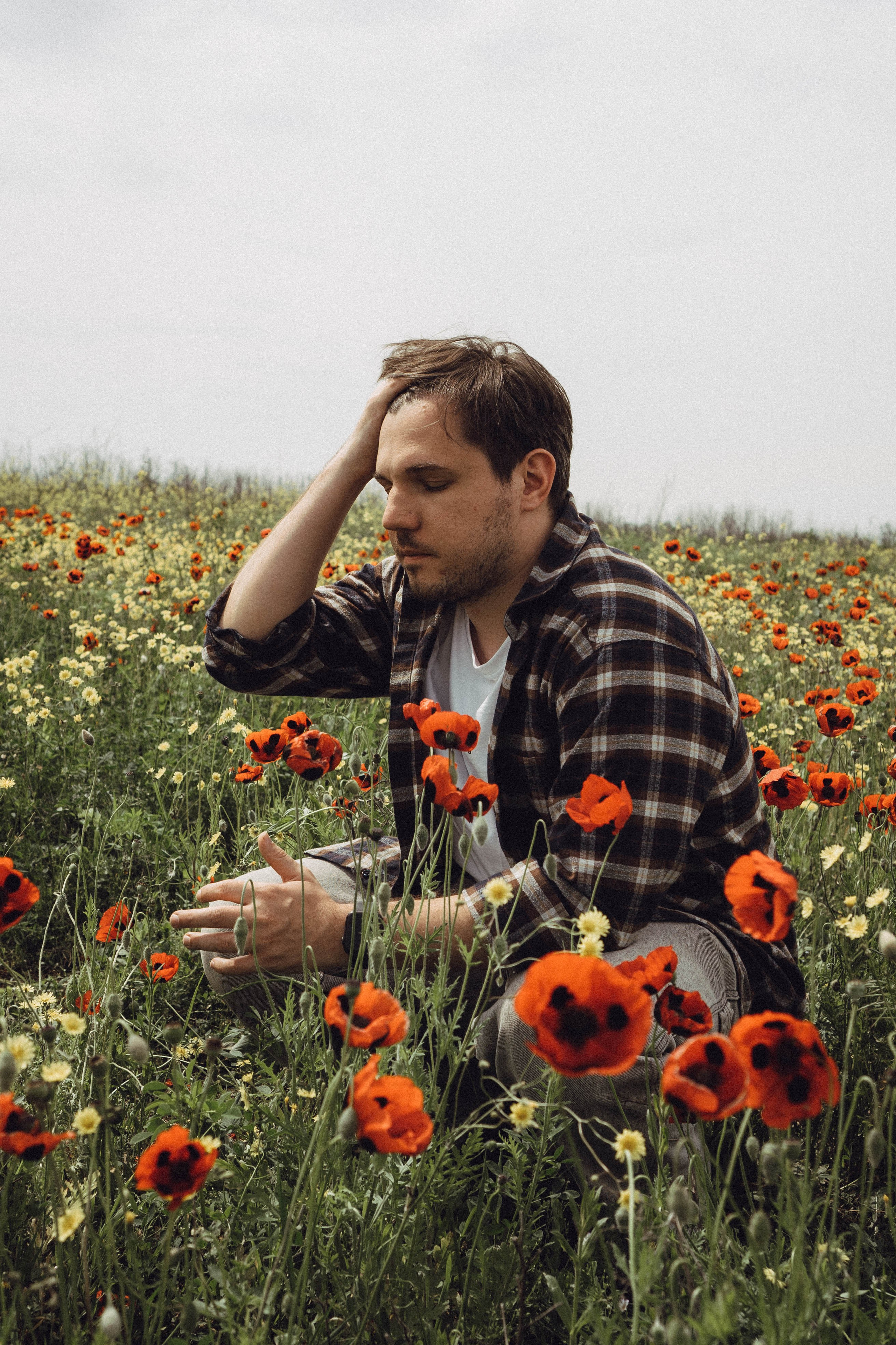 Маки. Профессиональный фотограф, Санкт-Петербург — Виктория Богомолова