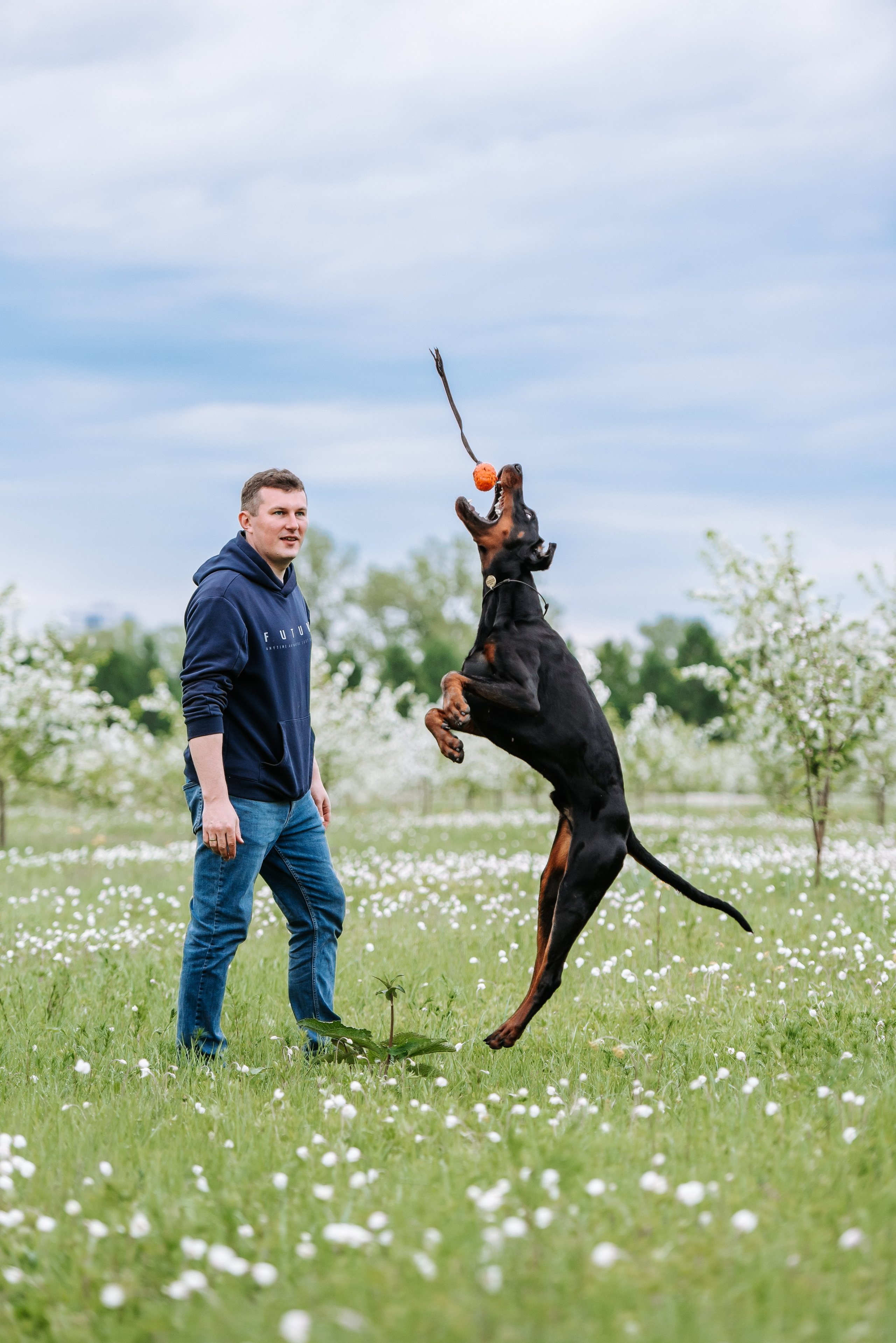 Цветение с доберманами. Фотограф Диана Оленина Красноярск / Братск