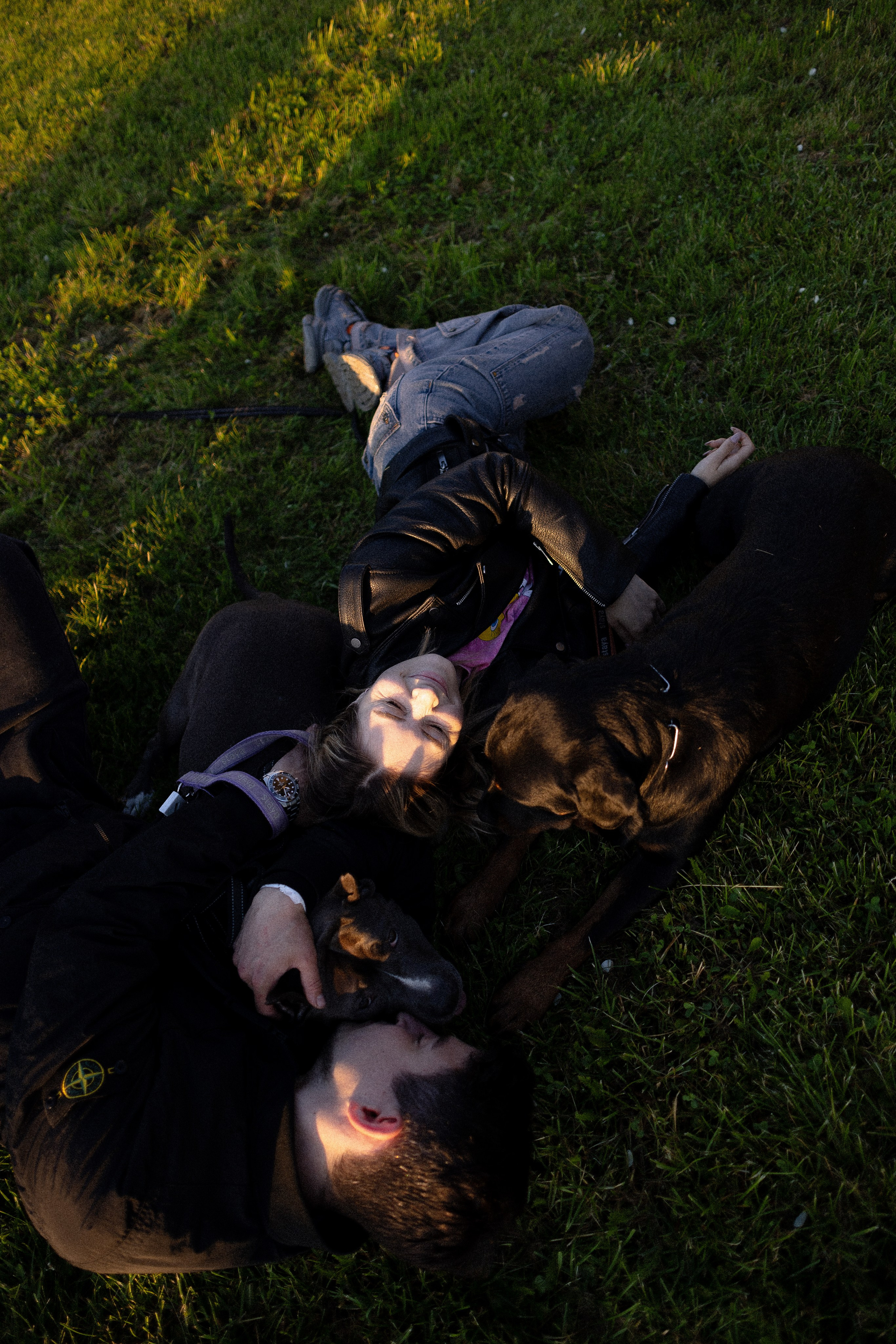 Катя, Леша, Лея и Трой. Фотограф и видеограф анималист Аганина Дарья