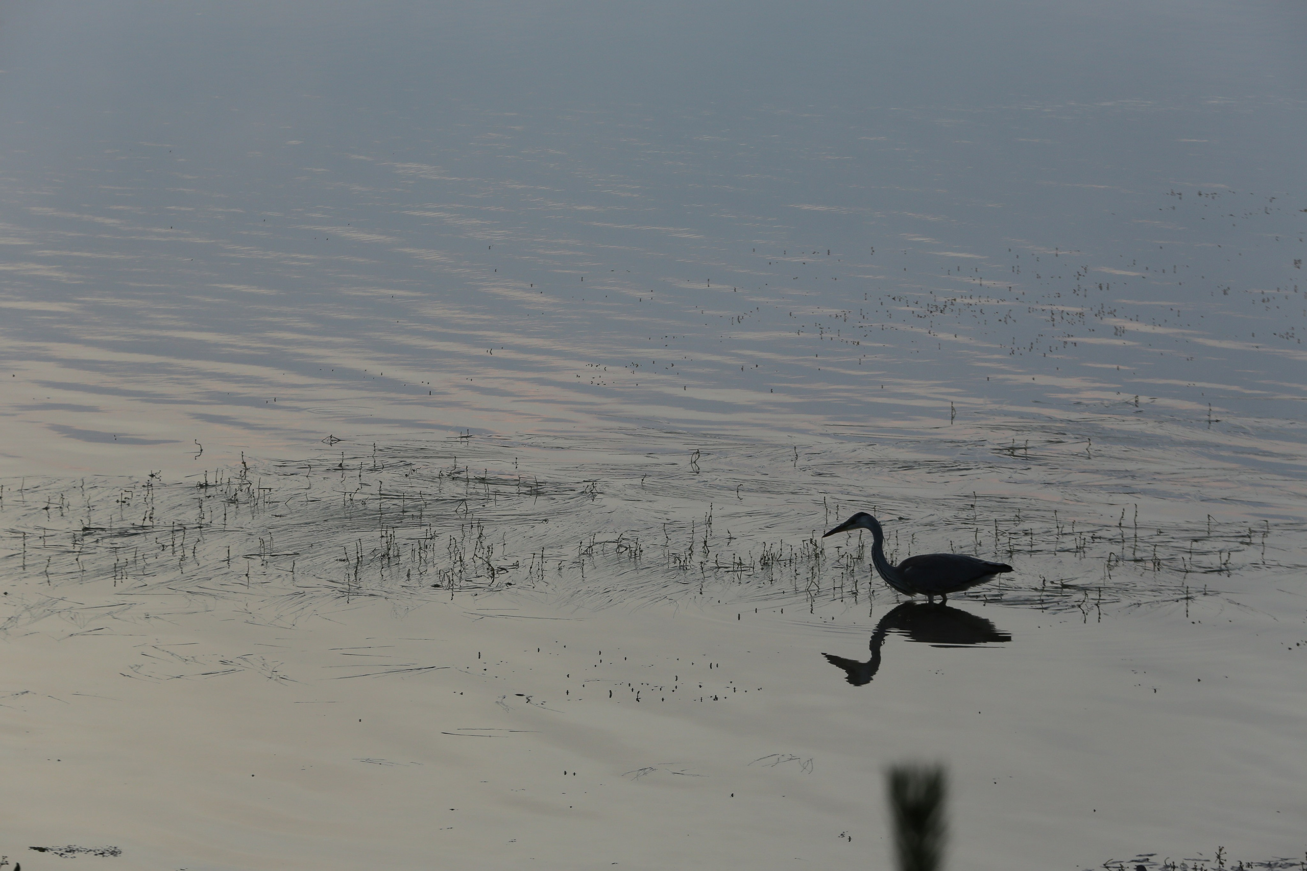 Фото Природы Забайкалья. Студия Максима Белослюдцева