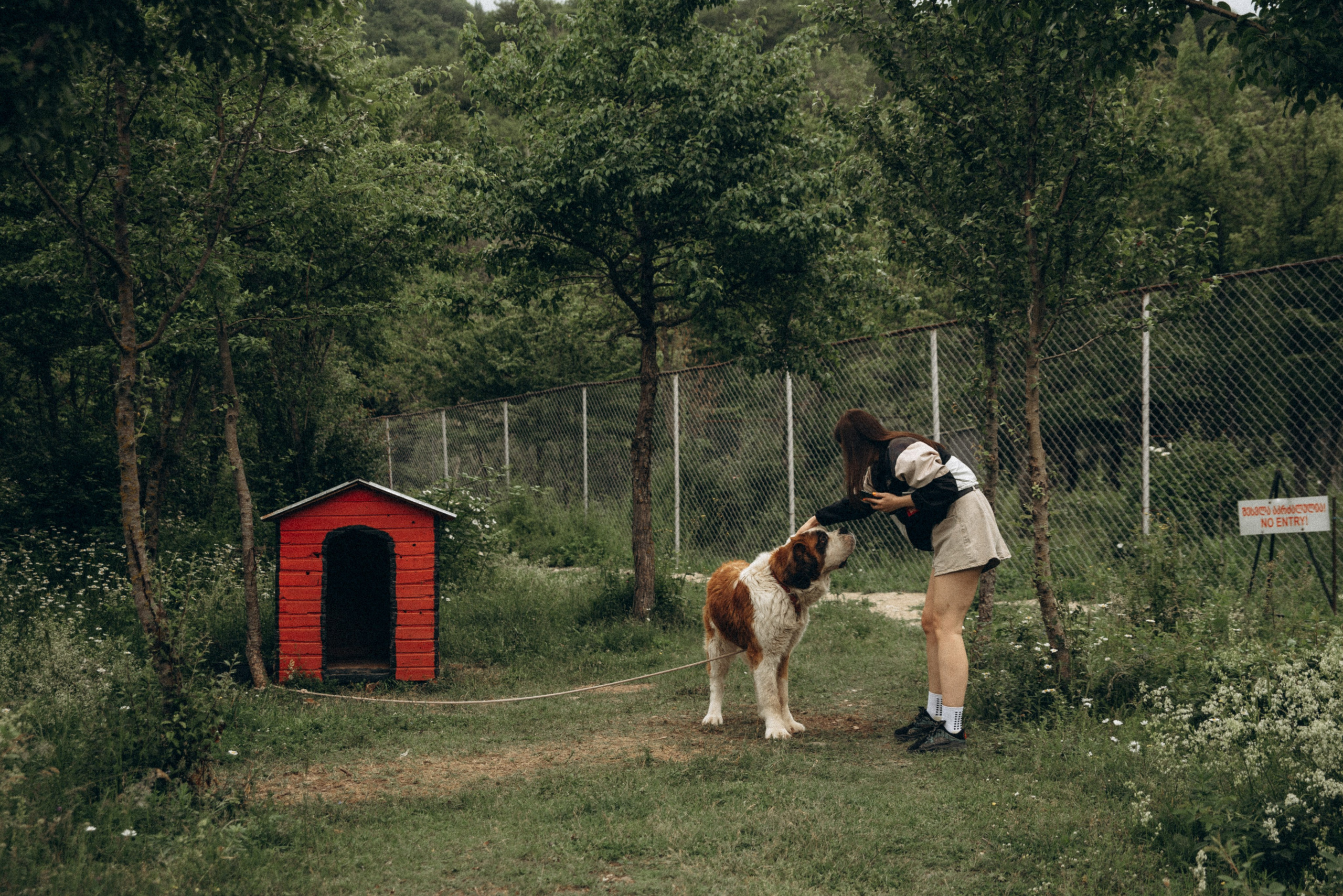 Медвежий приют, Мамкода, Грузия 🇬🇪 «Honey Trip». Anita_photo