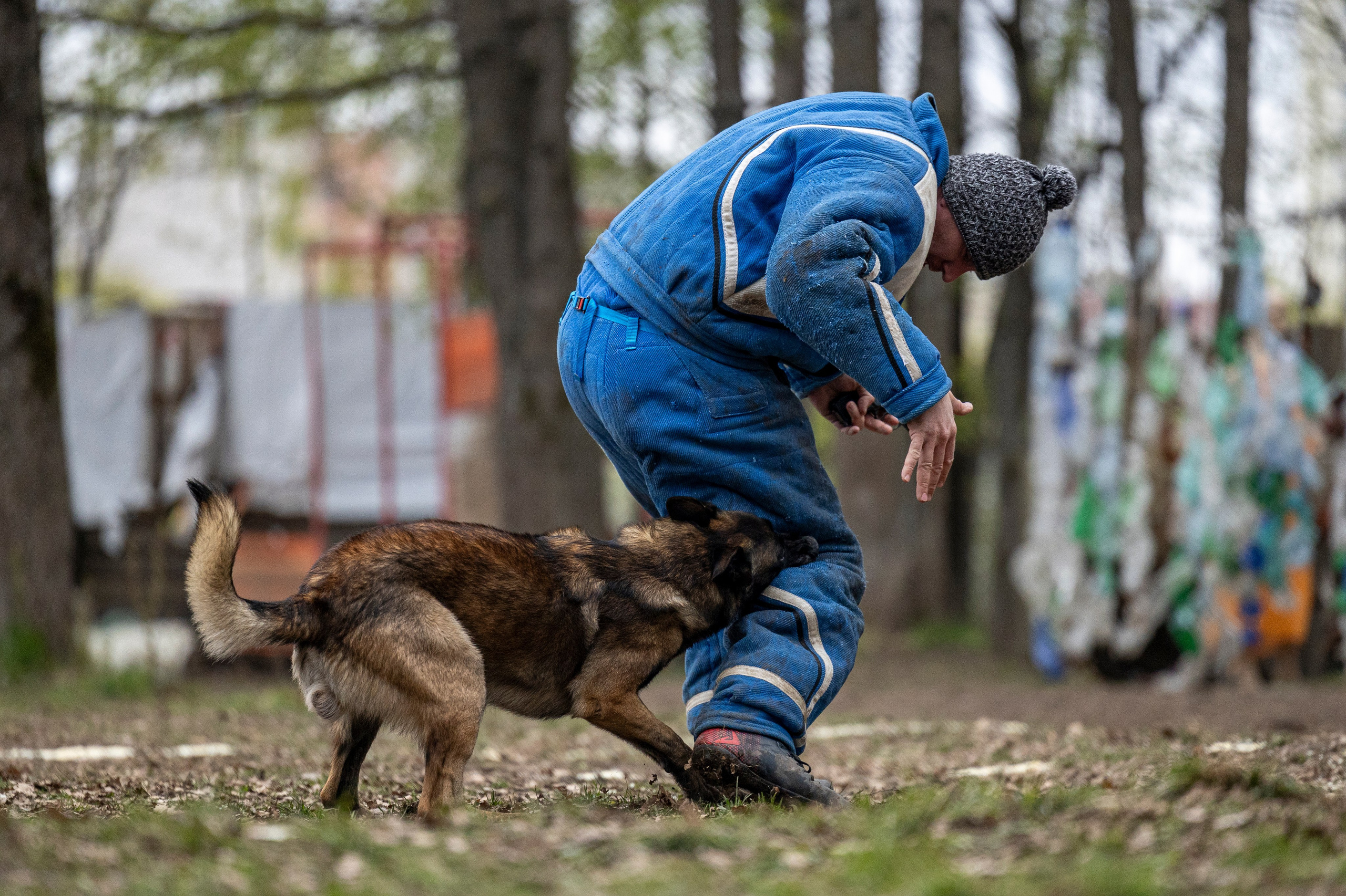 Квалификационные состязания по мондьорингу г. Вологда 11.05.24. Фотограф-анималист Анна Маринич