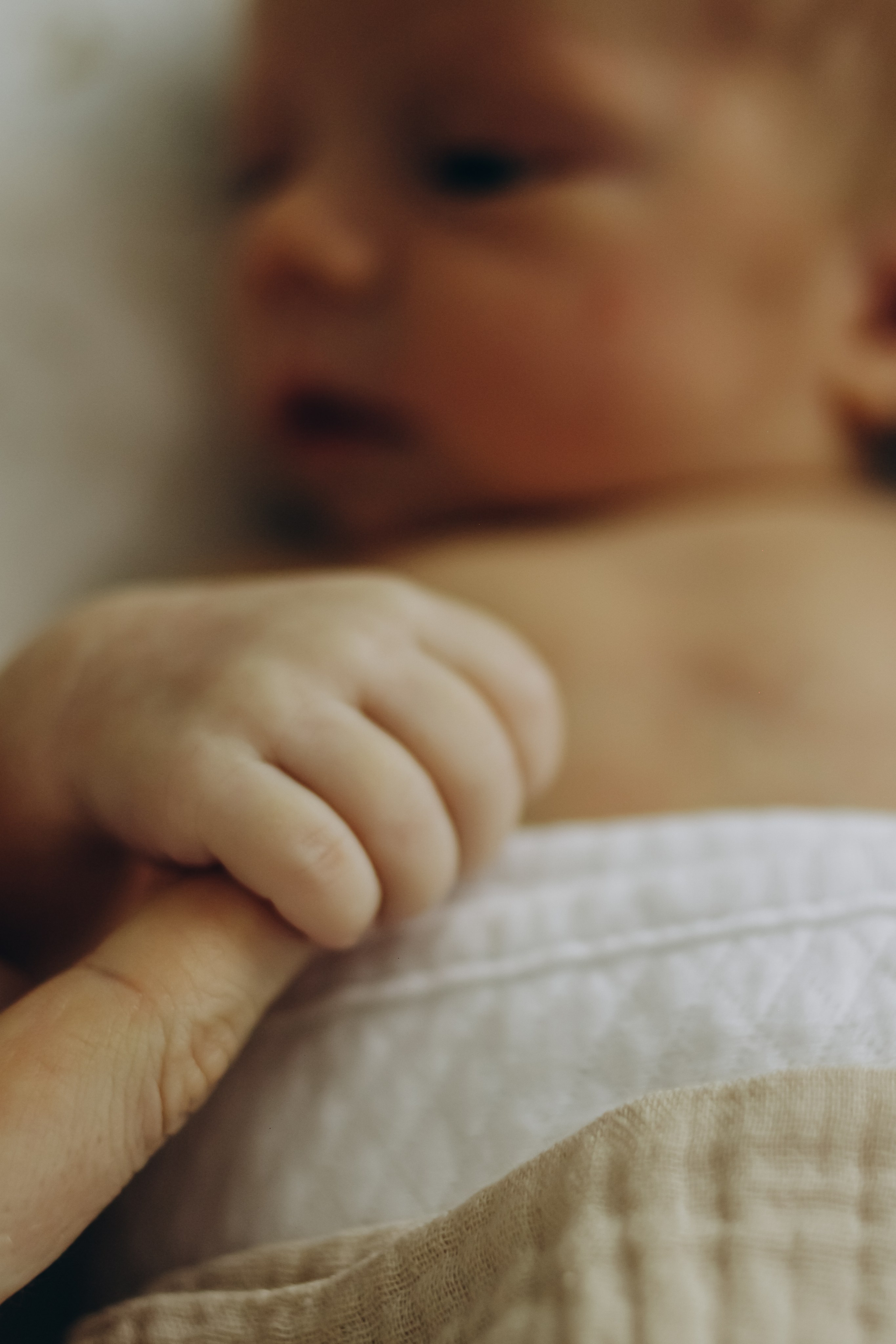 Домашняя 23.08.2025. Свой фотограф Нижний Новгород