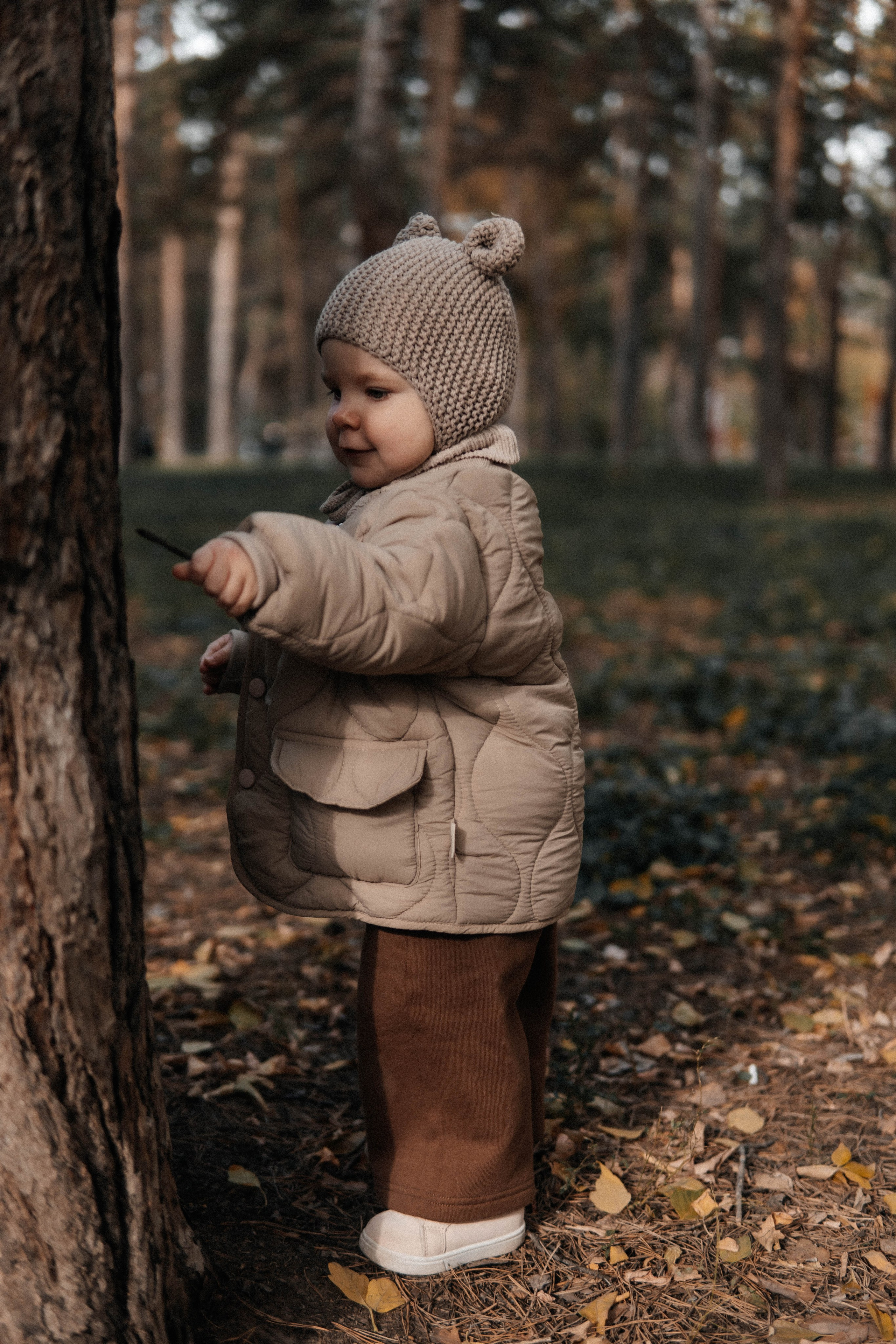 Прогулка осенью в парке. Главная страница