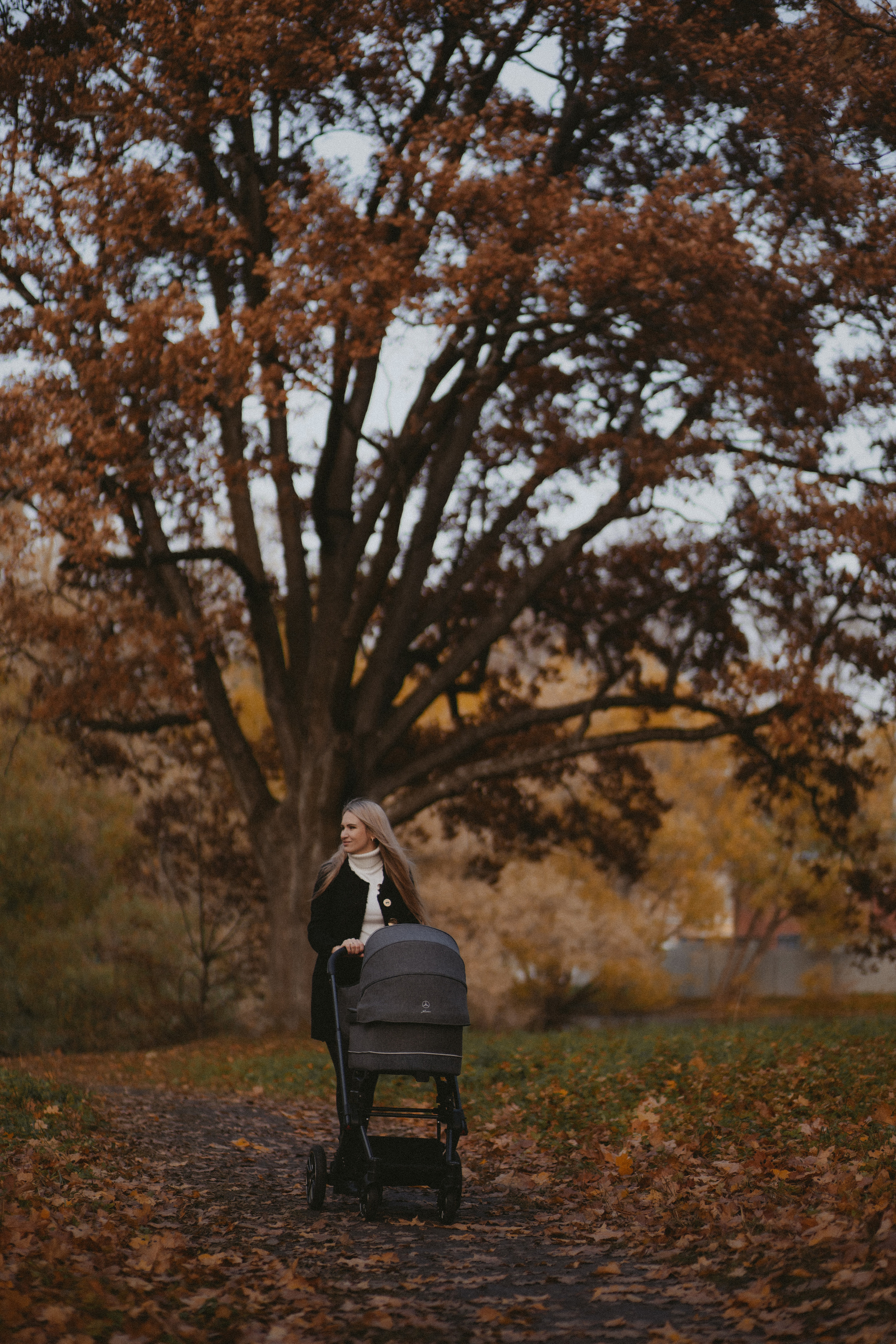 Антон, Ирина и Макс. Семейный и свадебный фотограф в Санкт-Петербурге и Всеволожске