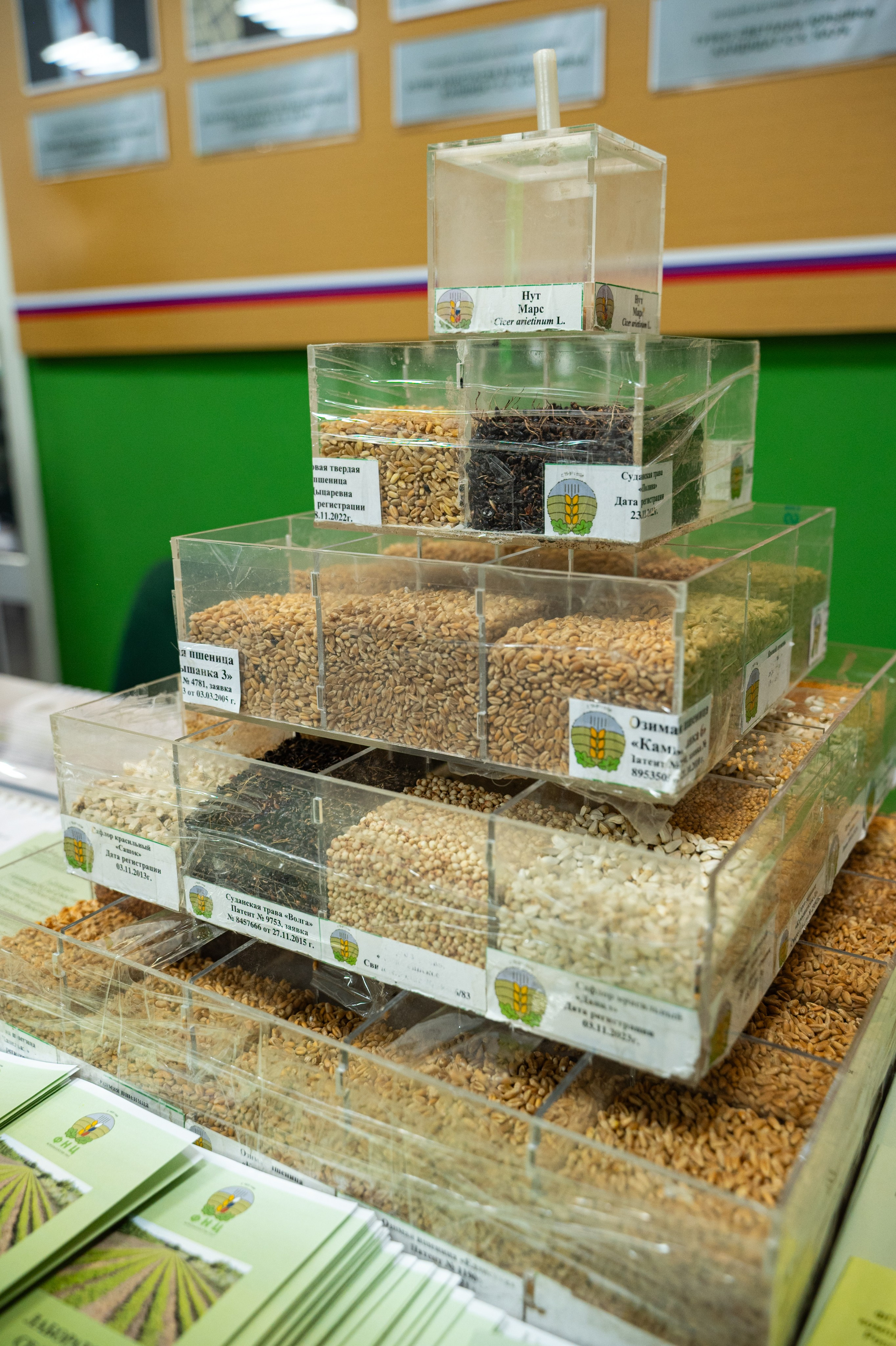 Международная конференция РАН