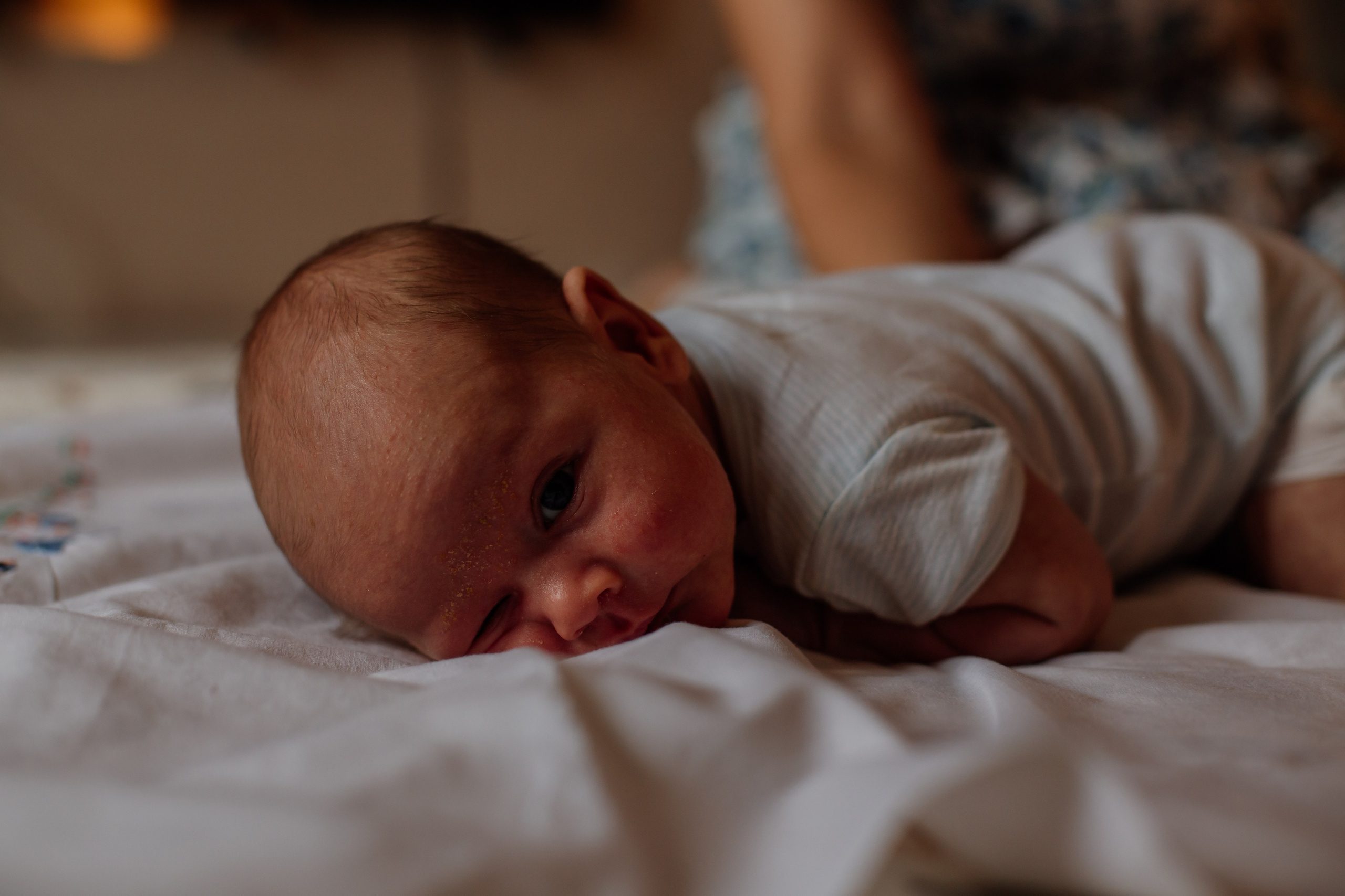 Екатерина Сергей Варя Андрюша. Фотограф в Санкт-Петербурге Дарья Заплитная